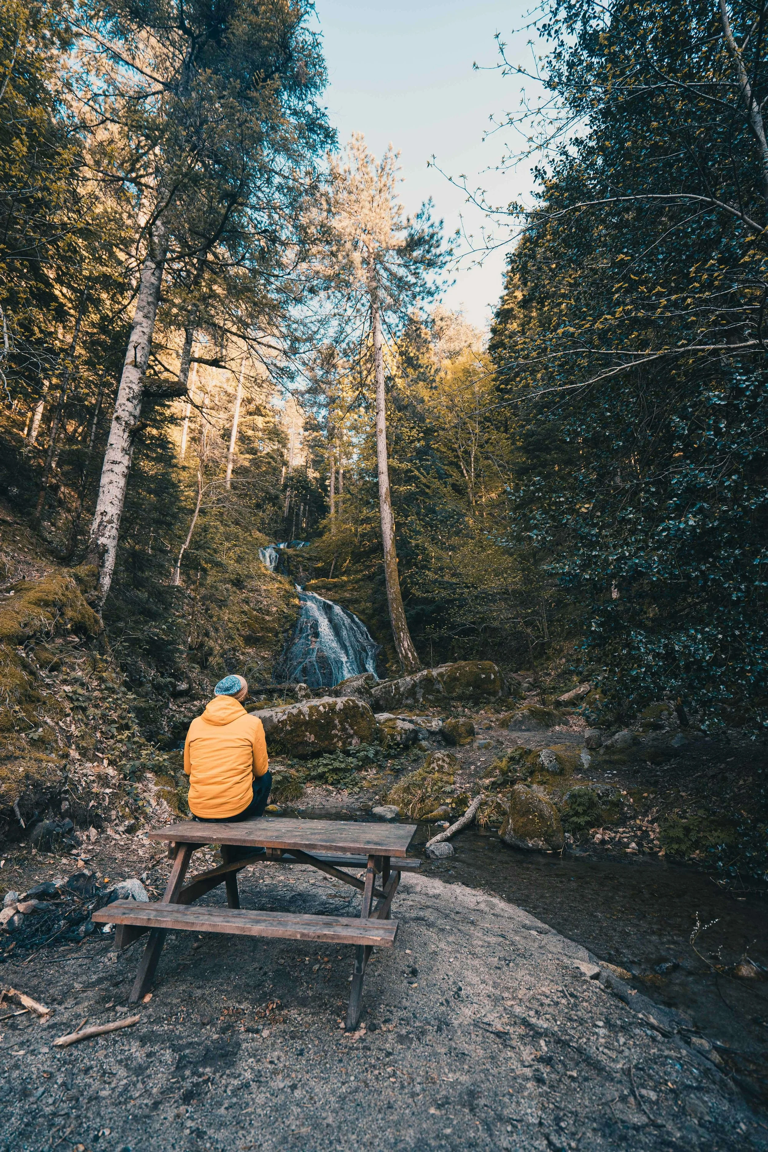 Person sitting alone at picnic table by waterfall in peaceful reflection, representing healing from adverse religious experiences in Minnesota with a religious trauma therapist in St. Paul.