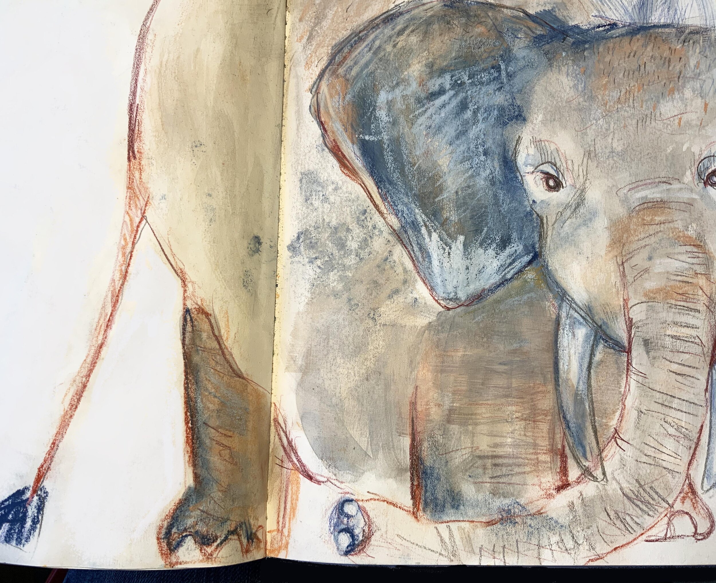 Elephant ps touchup.jpg