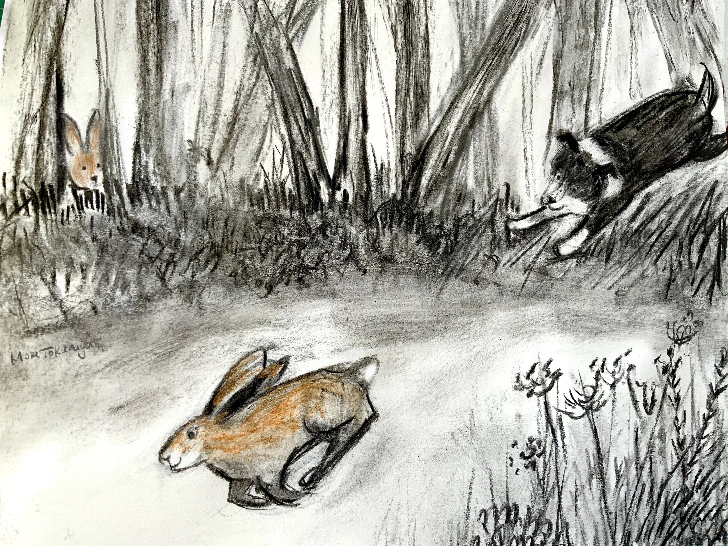 J chasing rabbit in forest.JPG