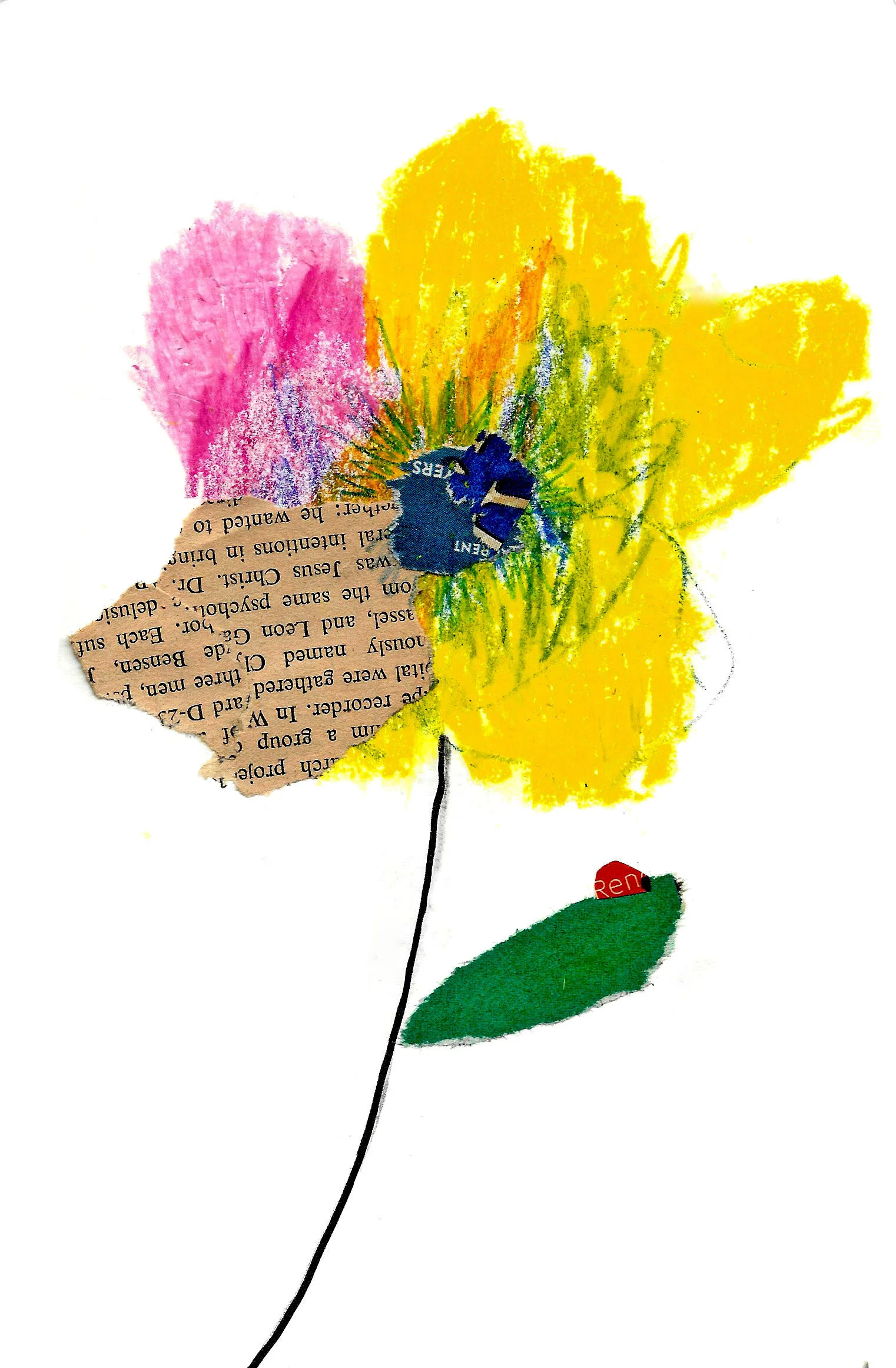 Yellow flower and ladybug cleaned.jpg