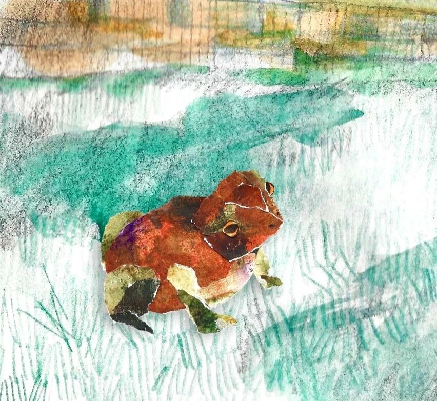 Toad collage in the garden.jpg