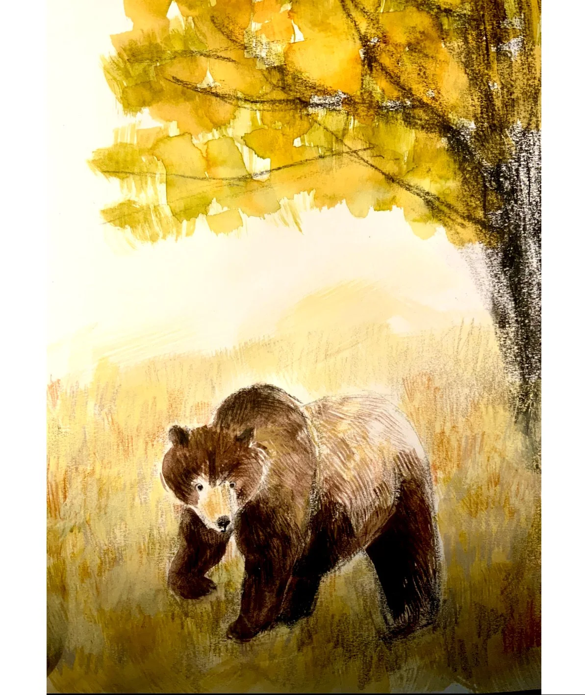 Bear fall hibernation dec21kidlitartpostcard.jpg