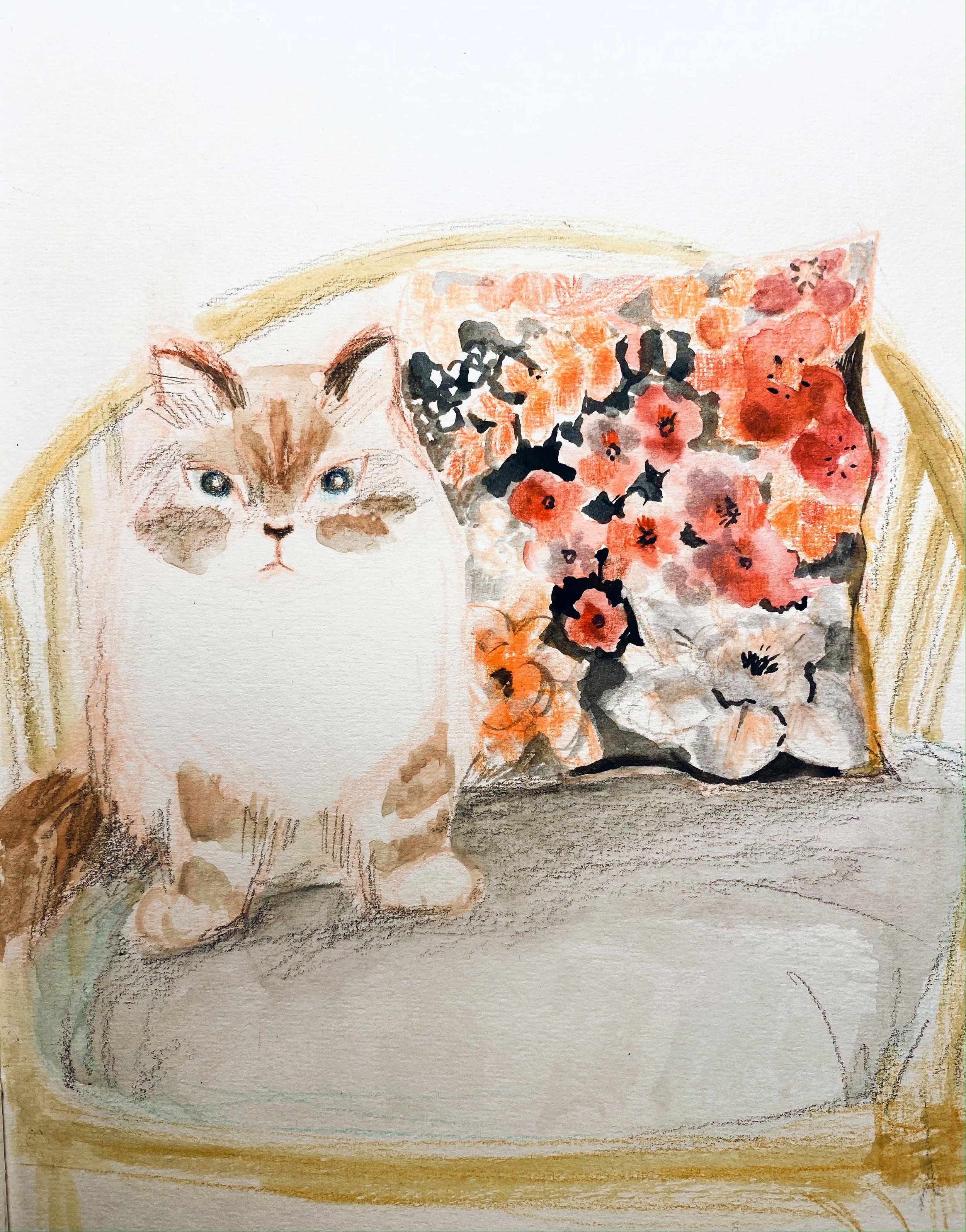 Roxy and cushion.JPG