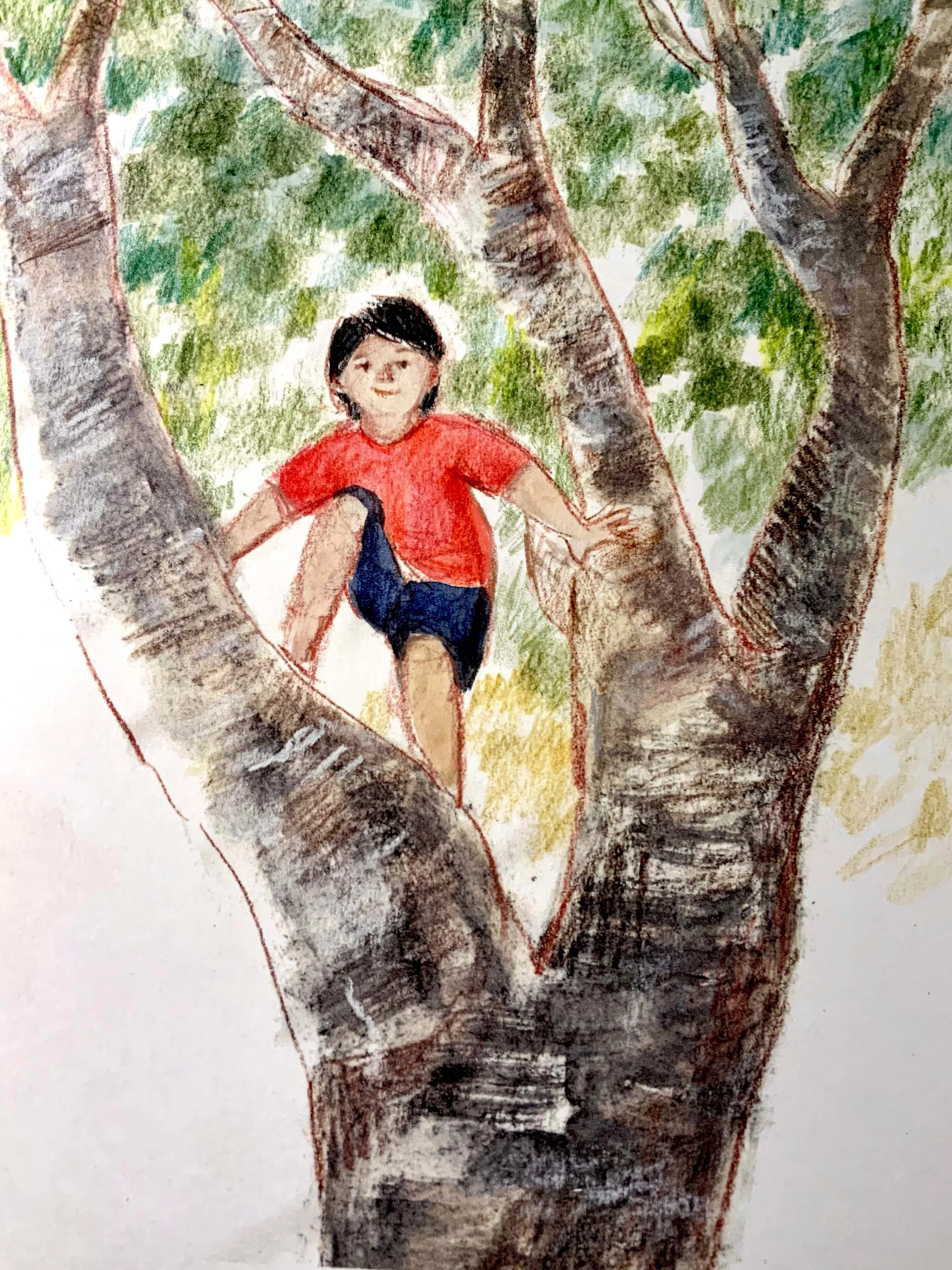 Boy in a tree.jpg