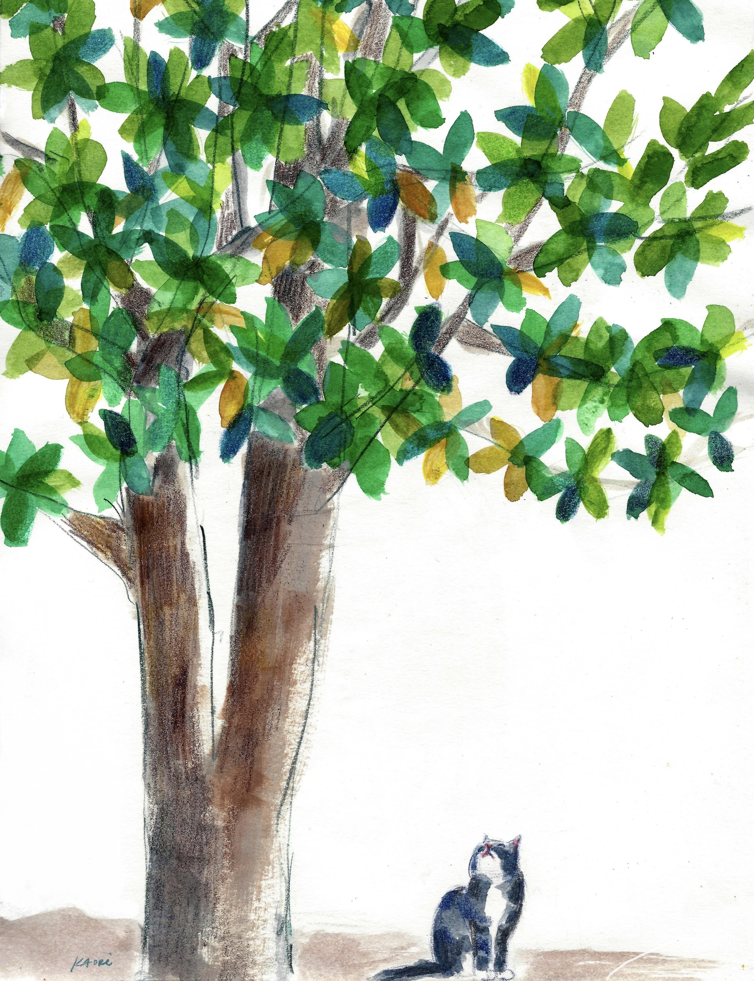 Cat under magnolia tree.jpg