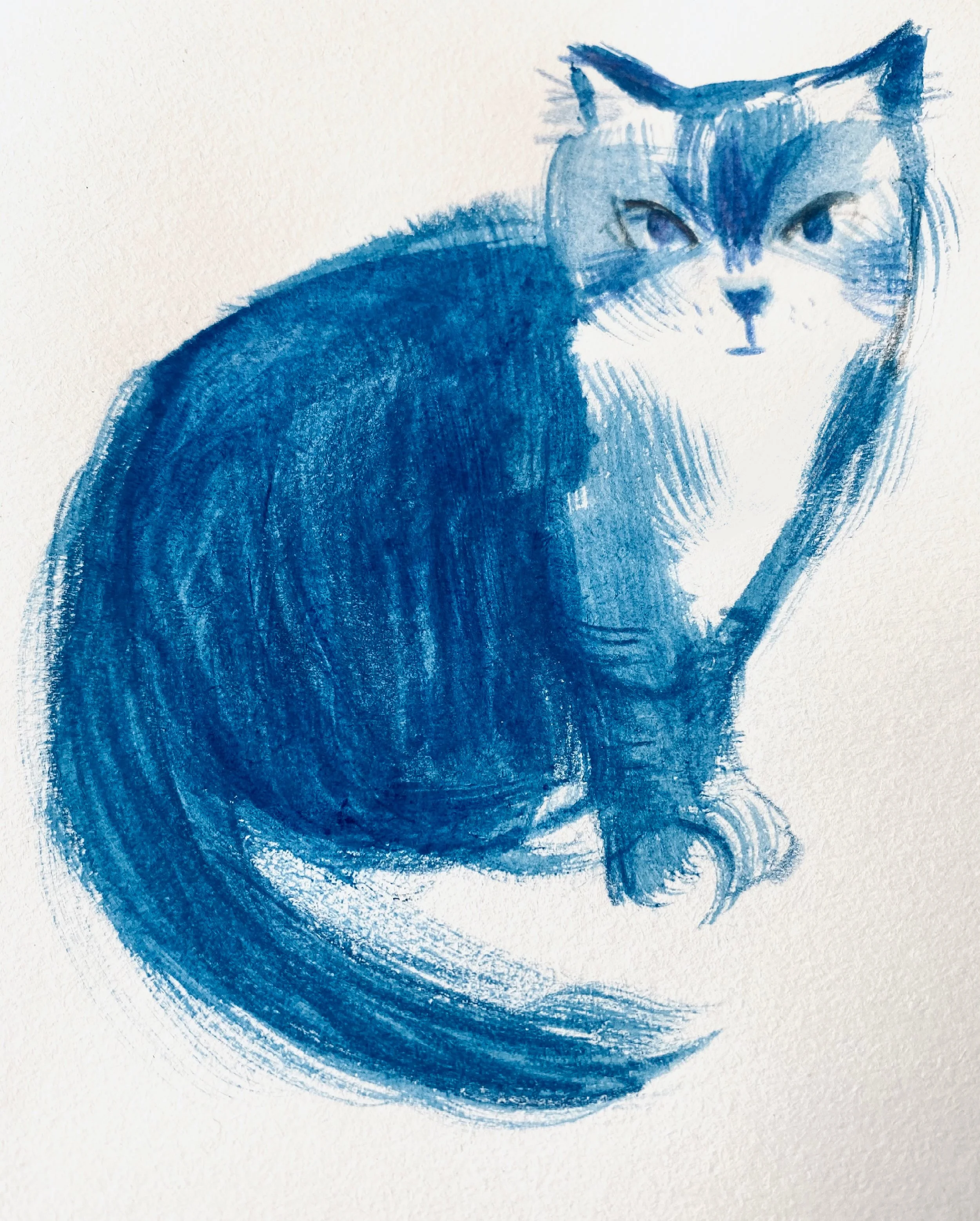 Blue cat cleaned.JPG