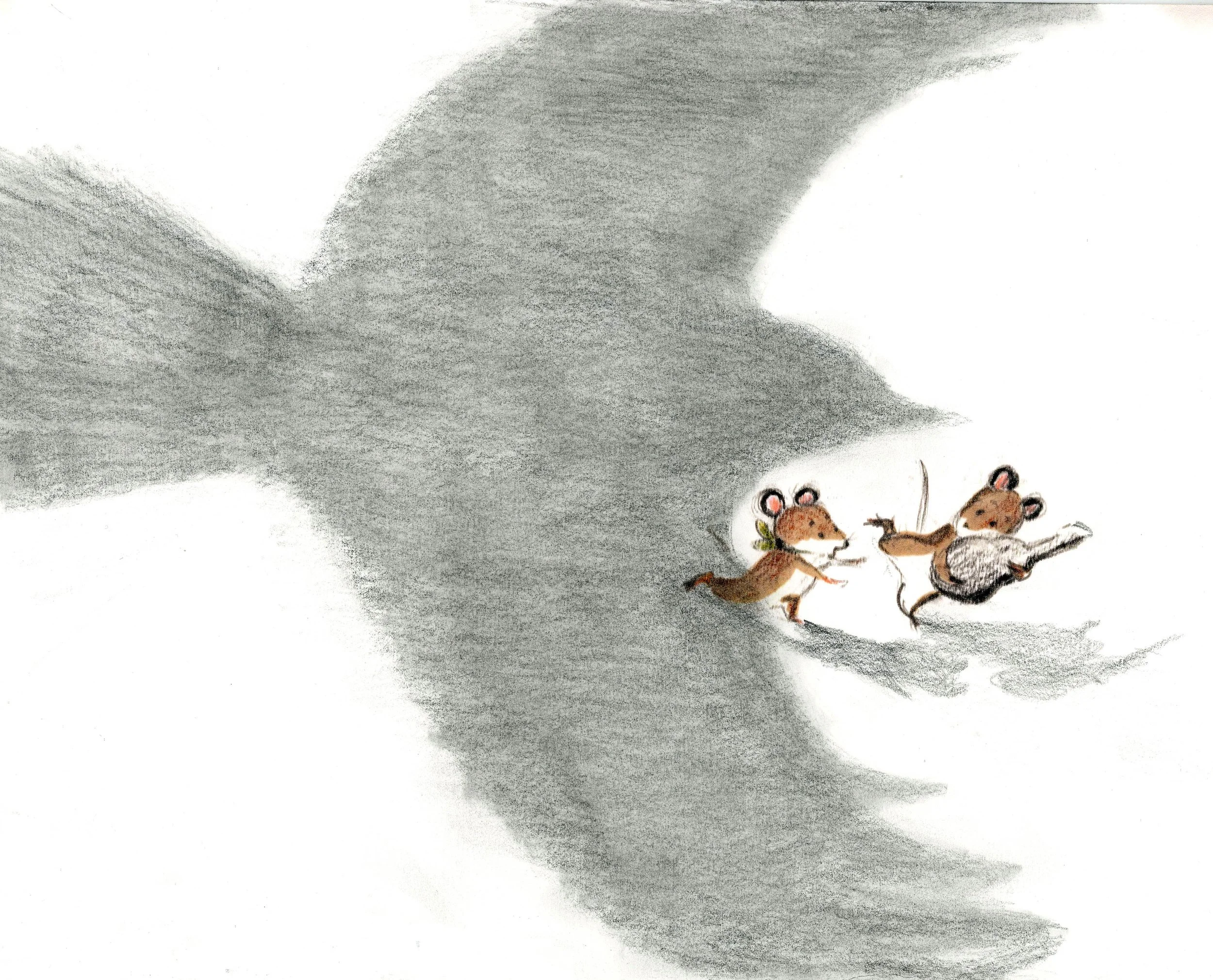 Crow shadow with mice001 copie.jpg