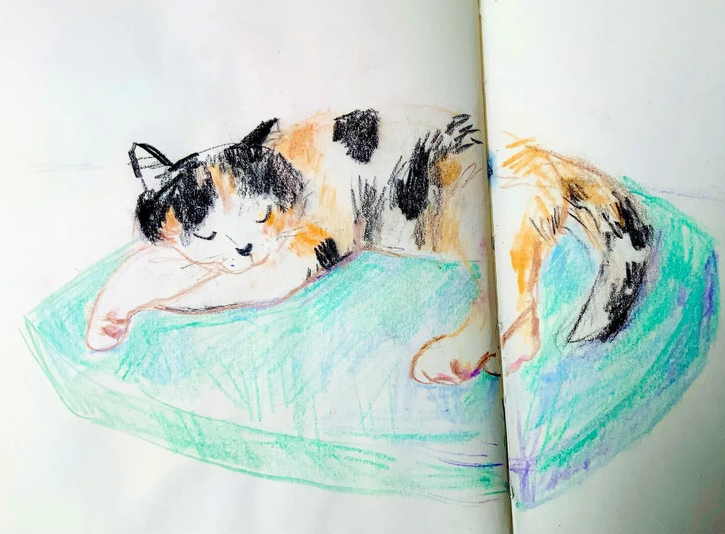 Drawing again after a long break. 
.
.
.
.
#catillustration #calicocat #markmaking #sketchbookpage #drawingfromobservation #observationalsketch #sketchbookartist #mixedmediaart #mixedmediaartist #mixedmediasketchbook  #sketchbookpractice #insidemyske