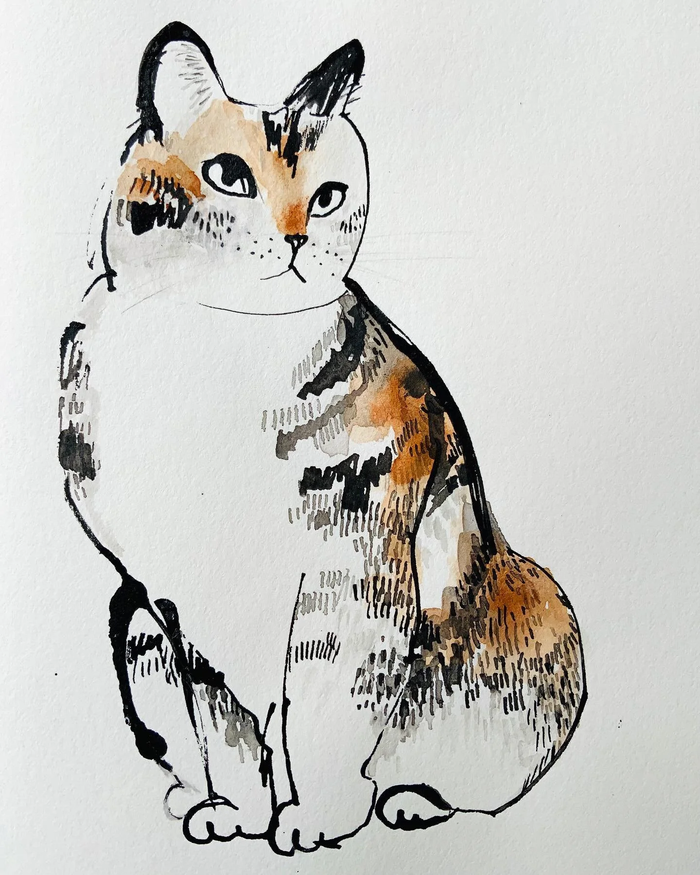Practice, day 3.

Continuing to explore ink in my sketchbook with the @kakimori brass nib.
.
.
.
.
#catillustration #catdrawing #markmaking #sketchbookpage #sketchbookartist #inkdrawing #inkillustration #mixedmediaart #mixedmediaartist #mixedmediaske
