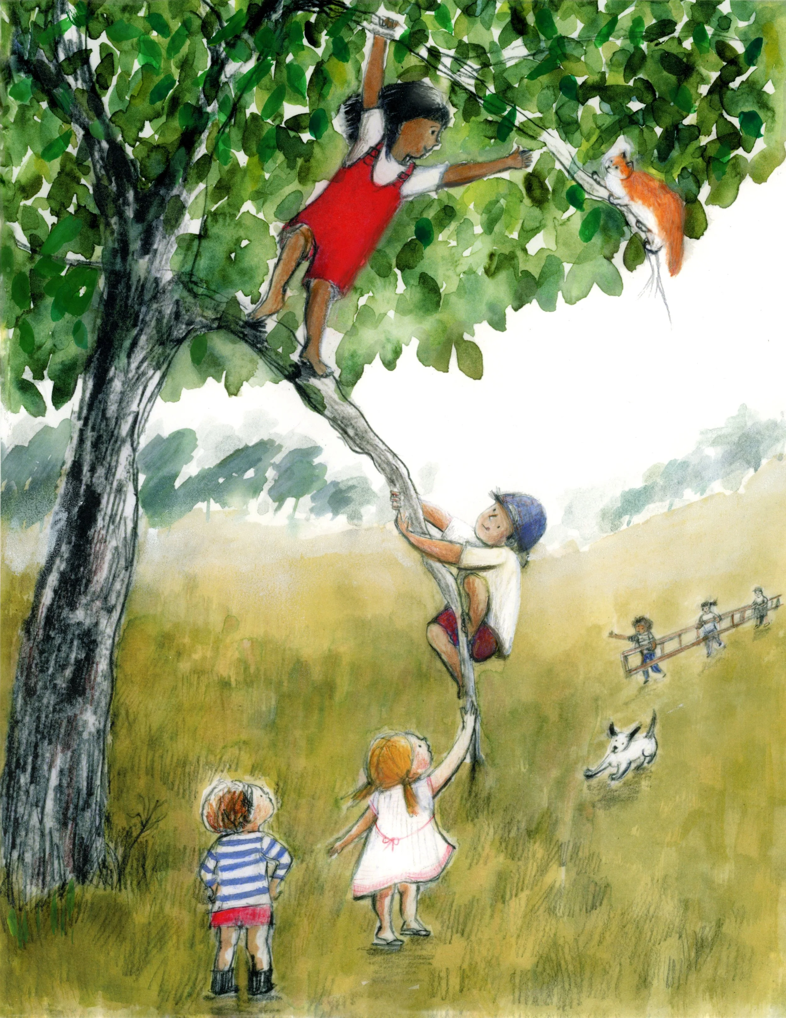 Cat rescue 5 avril 2023.jpg