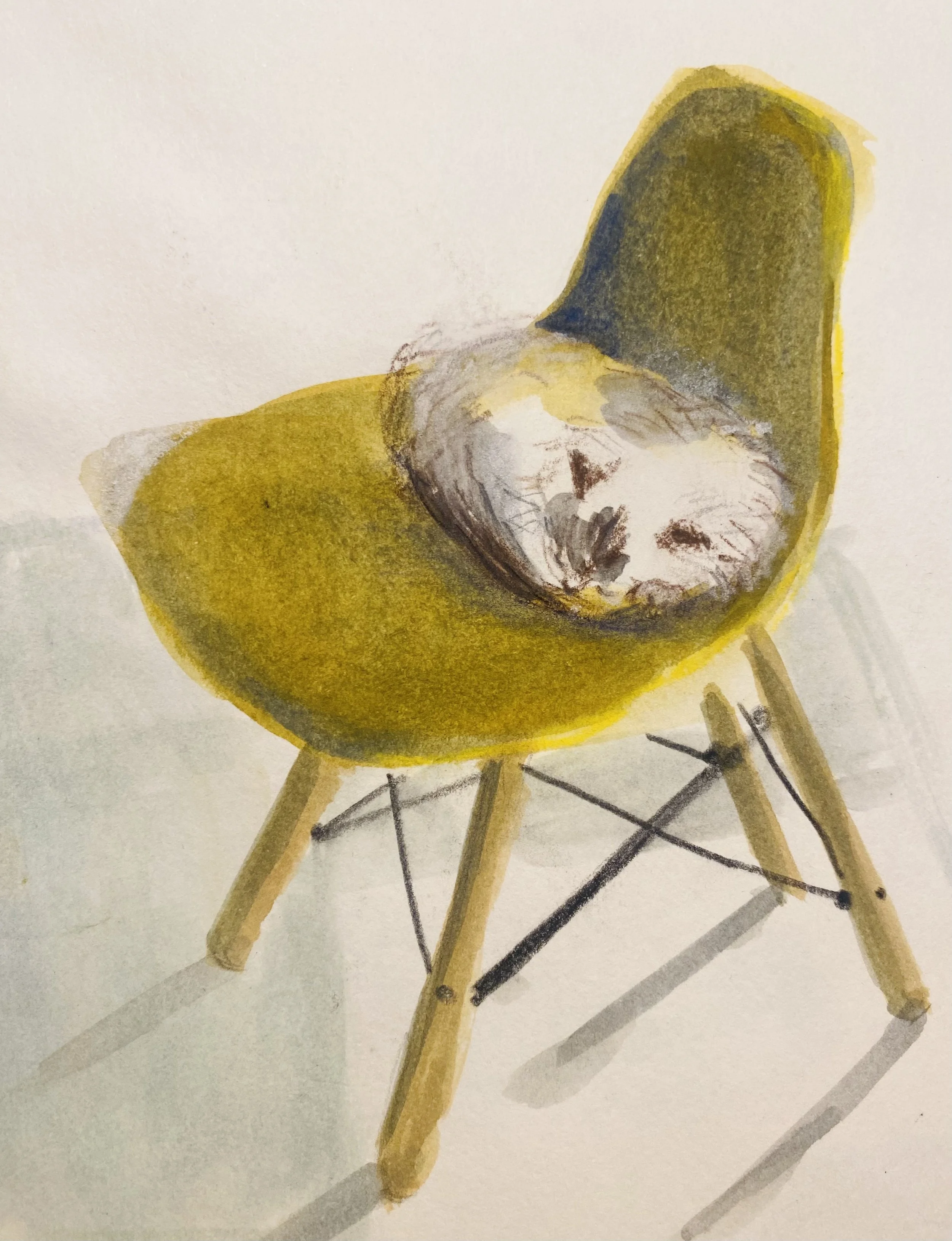 Reiti on yellow chair.jpg