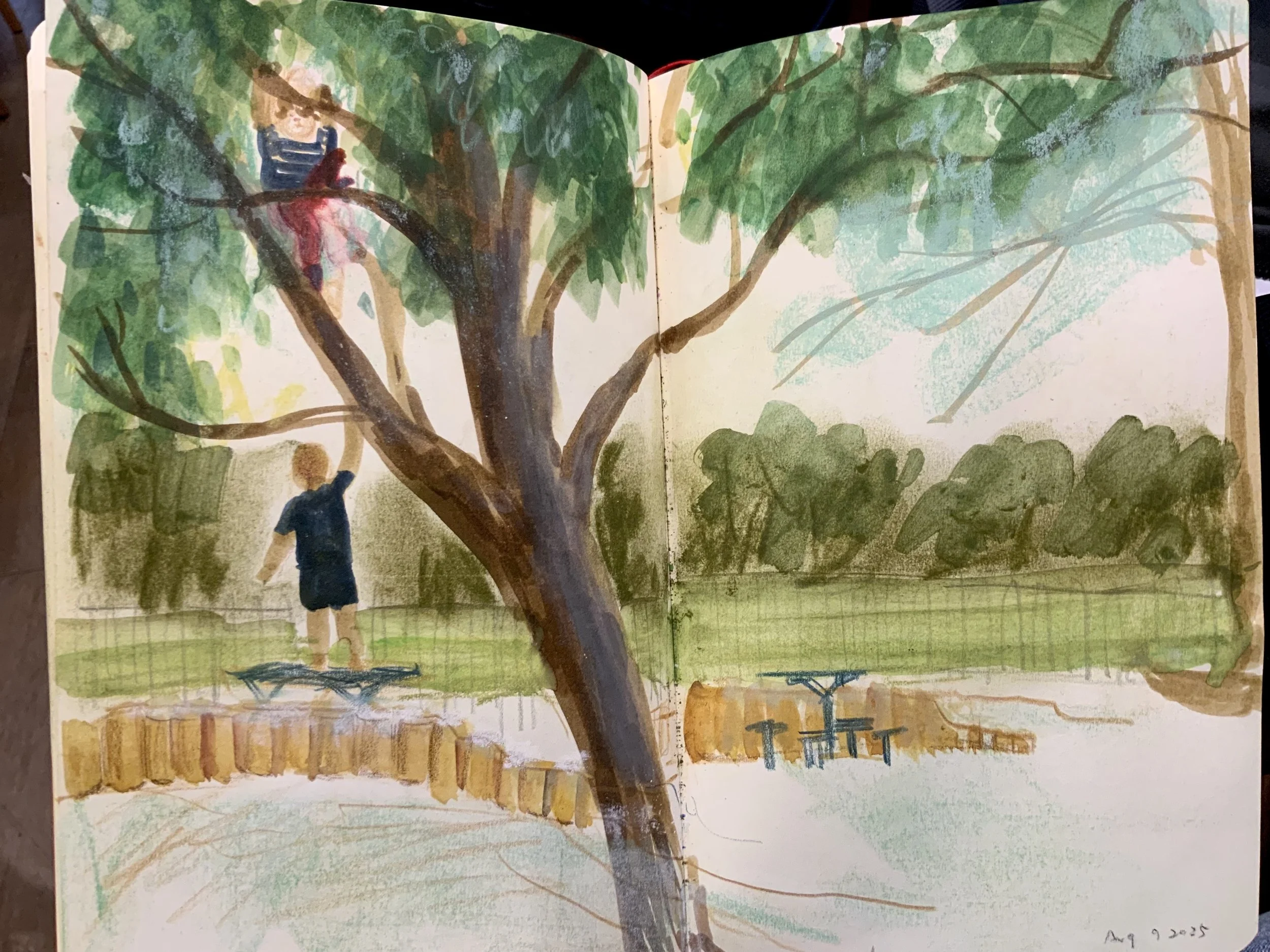 Boy climbing tree in playground.jpg