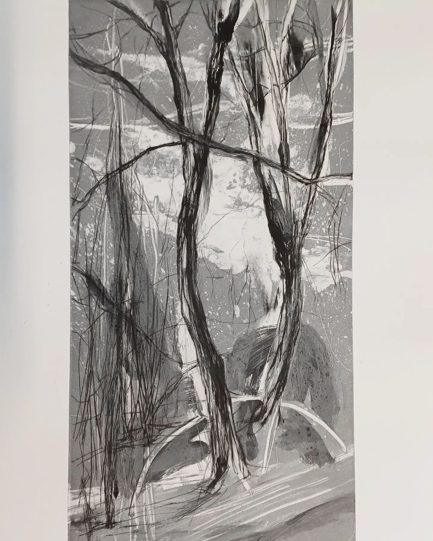 'In the Shadow of the Sun' a new silver monotype etching to be shown with @arcfinearts next month @affordableartfairuk in Hampstead.

This series of compositions are based on walks on the Hampstead Heath. A very interesting place, where you always se