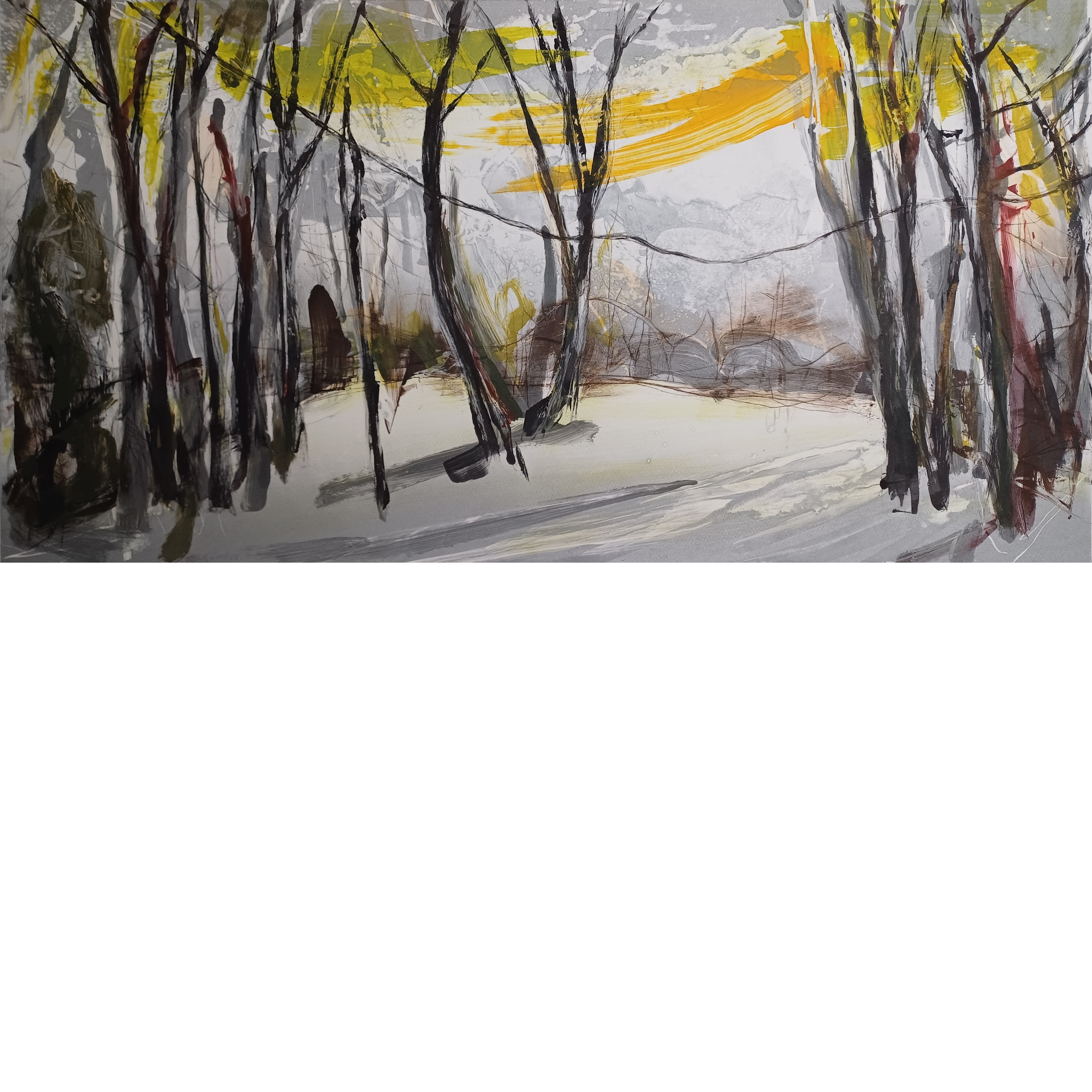 In the Shadow of the Sun No1, edition no1:12- Clare Grossman.png