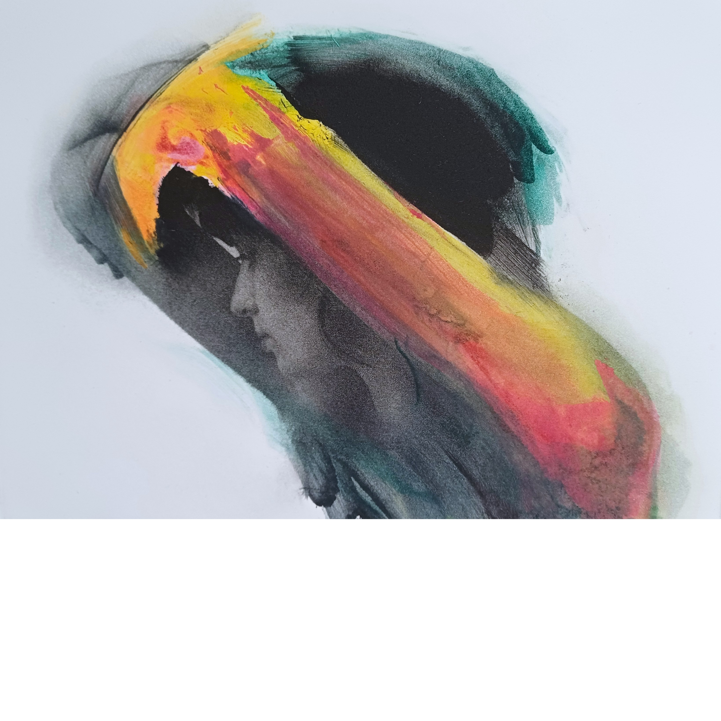 Butterfly Psyche in Colour, T.P no3, Clare Grossman.webp
