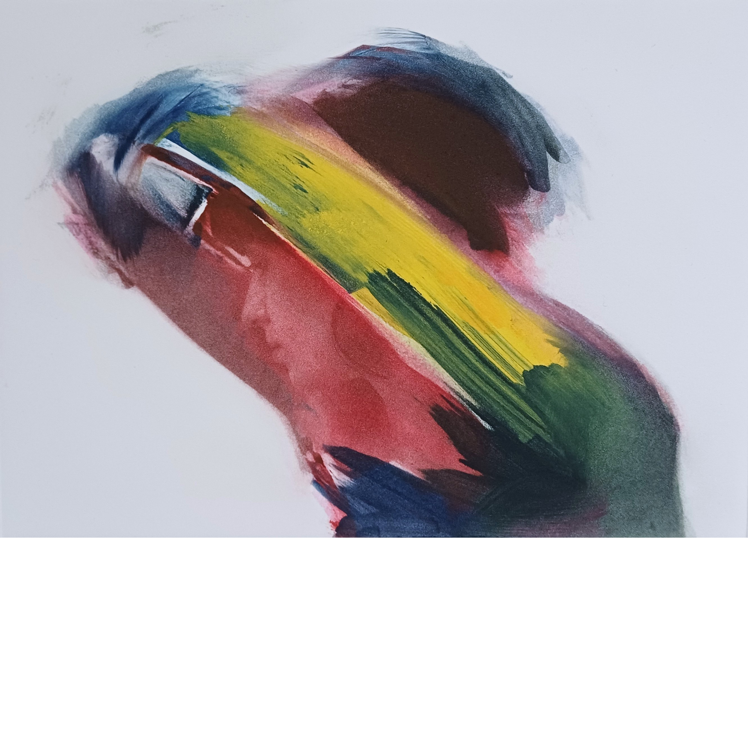 Butterfly Psyche in Colour, T.P no2, Clare Grossman.webp