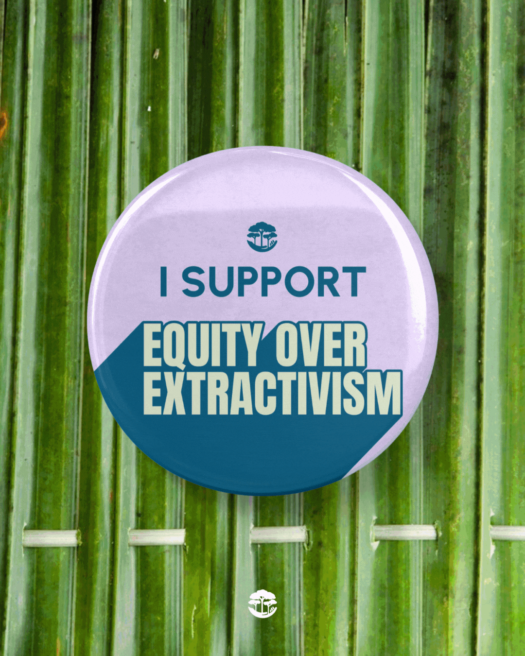 Ambassador Graphics - EOY2025 (2).gif