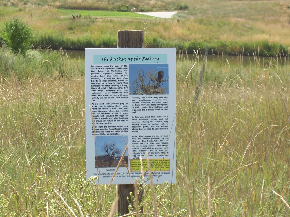great blue heron habitat sign.jpg