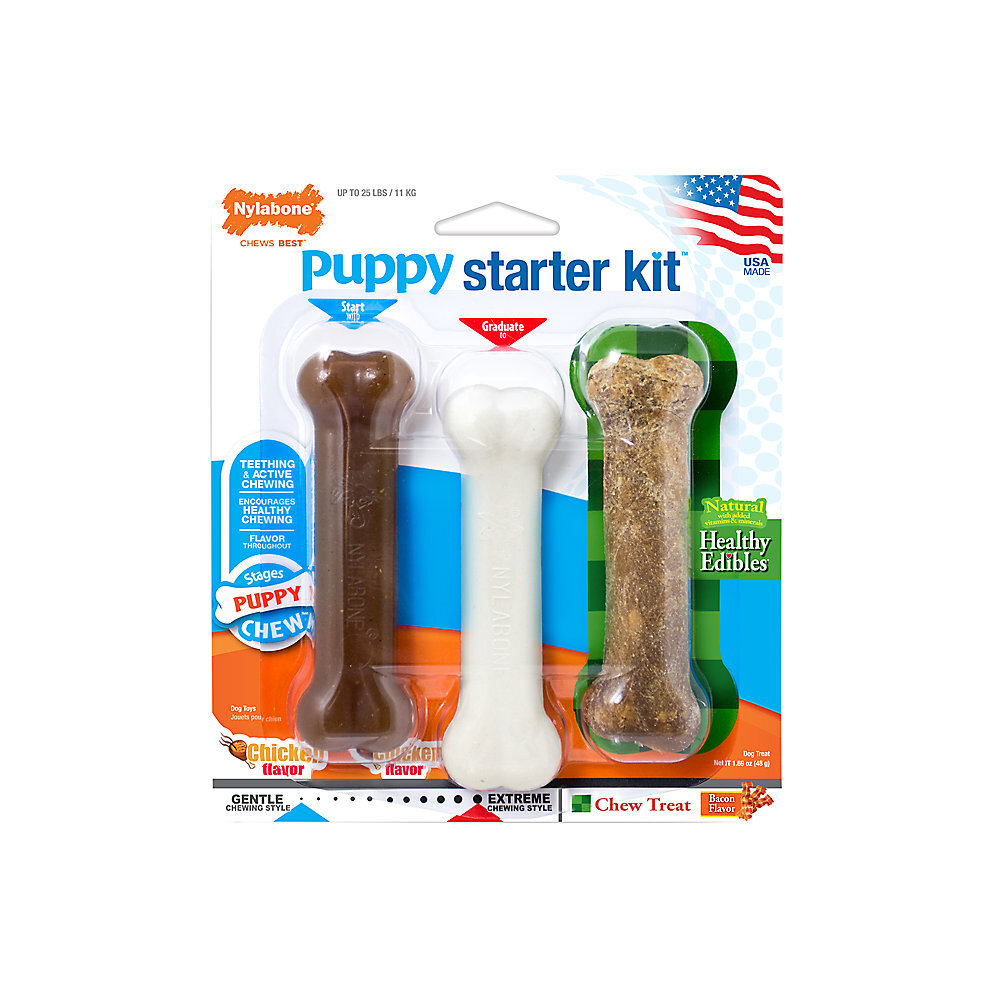 Nylabone 2a.jpg