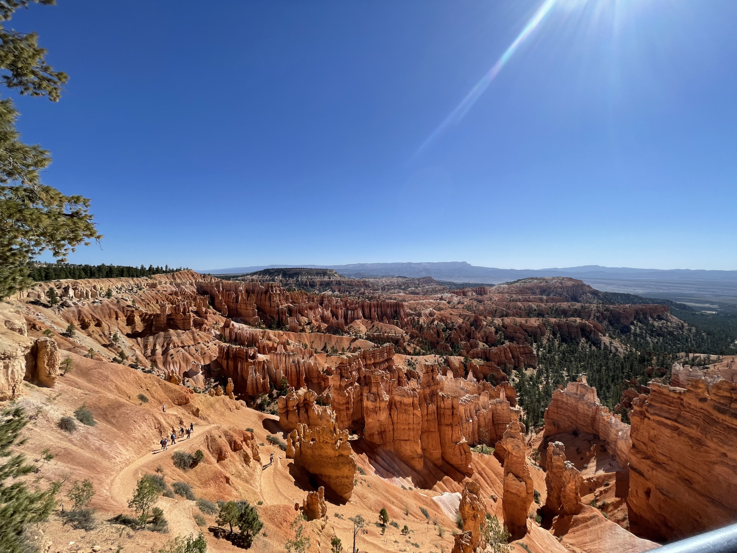 bryce_IMG_4381.png