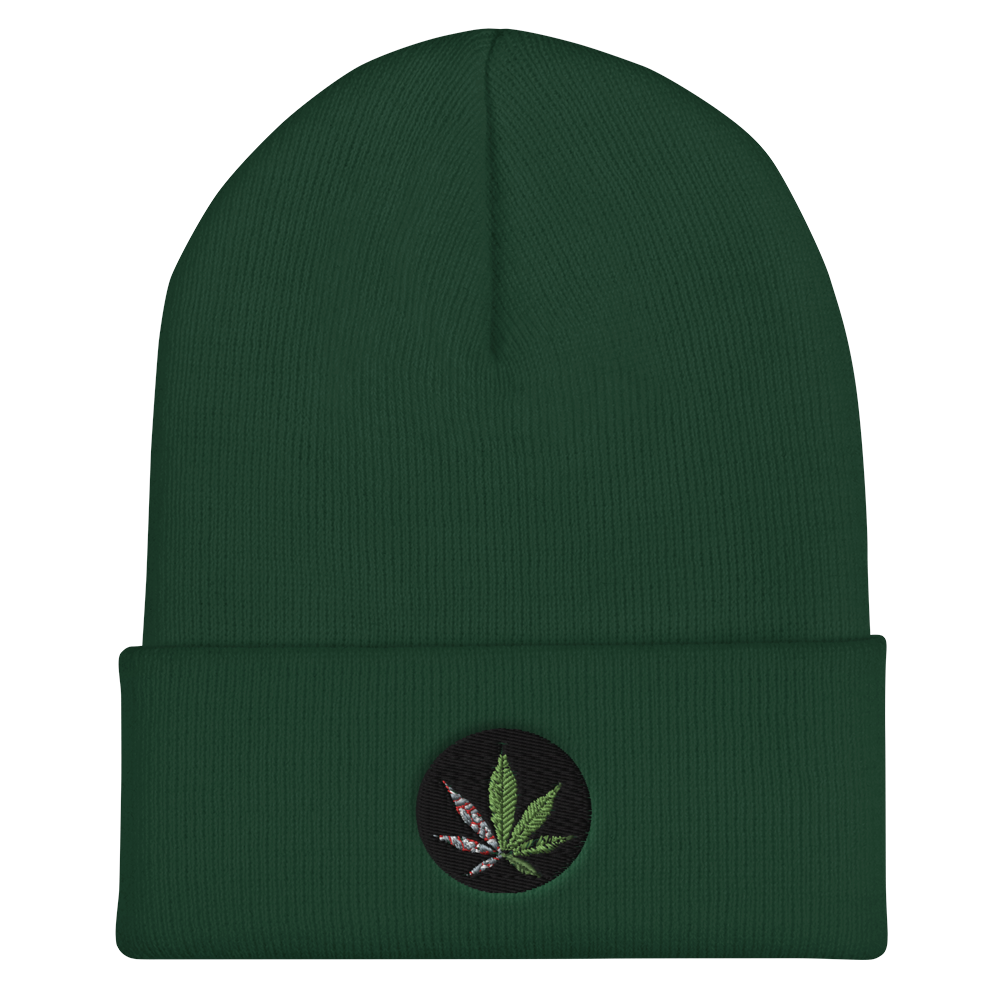 cuffed-beanie-spruce-front-6159b1c8d5a38.png