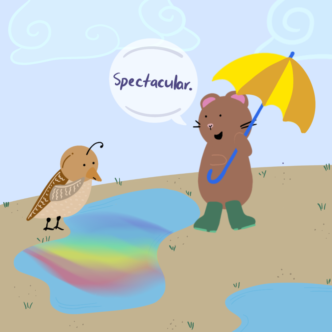 Rainbow_After_Rain.png