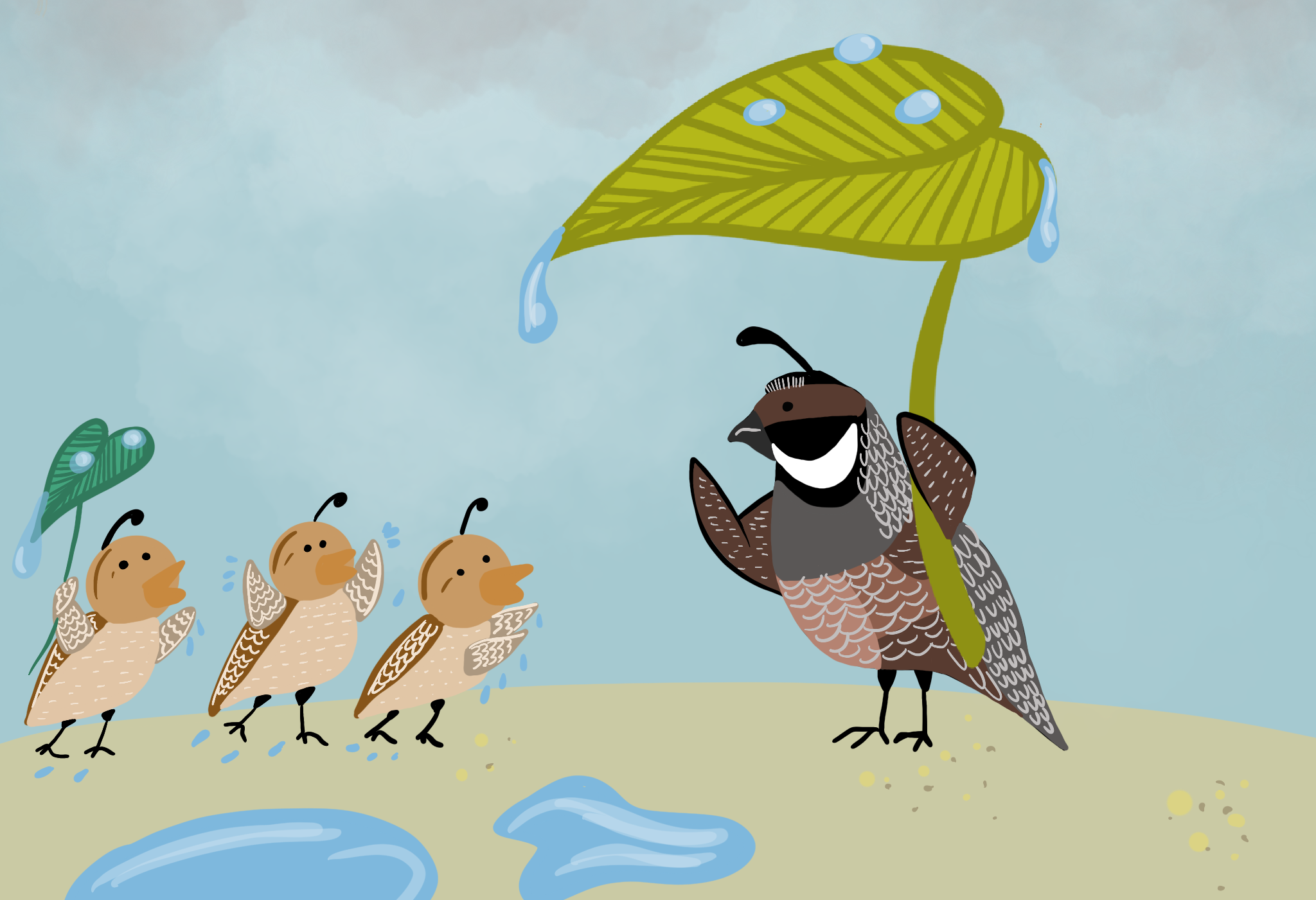 Rain_Bird_return 2.png