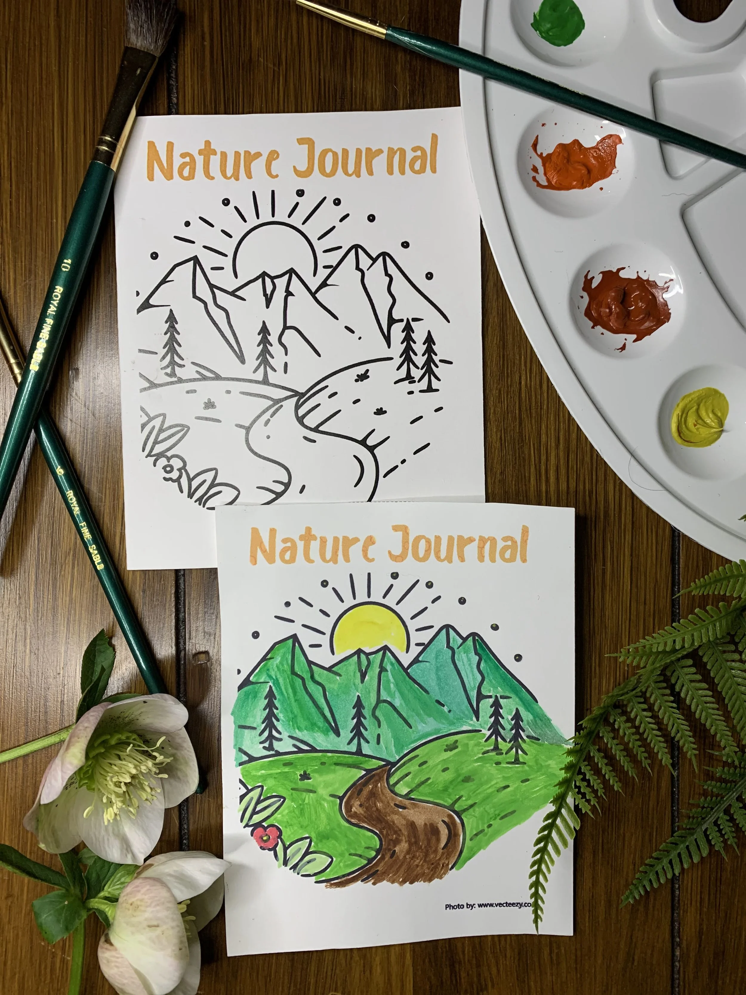 FREE Pocket Nature Journal — NorthStar Educational Explorations