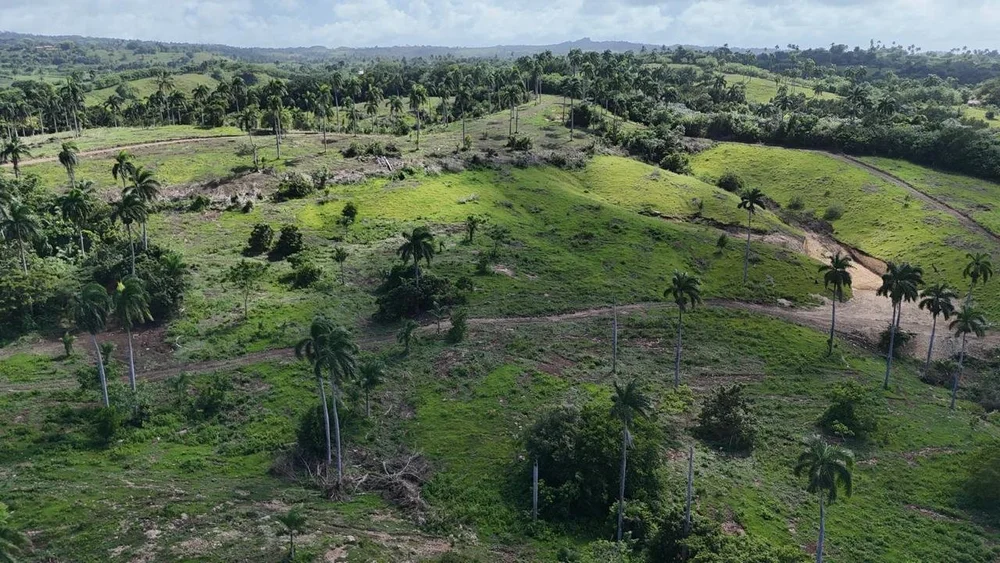 PHOTO-2024-09-16-13-42-01 3.jpg