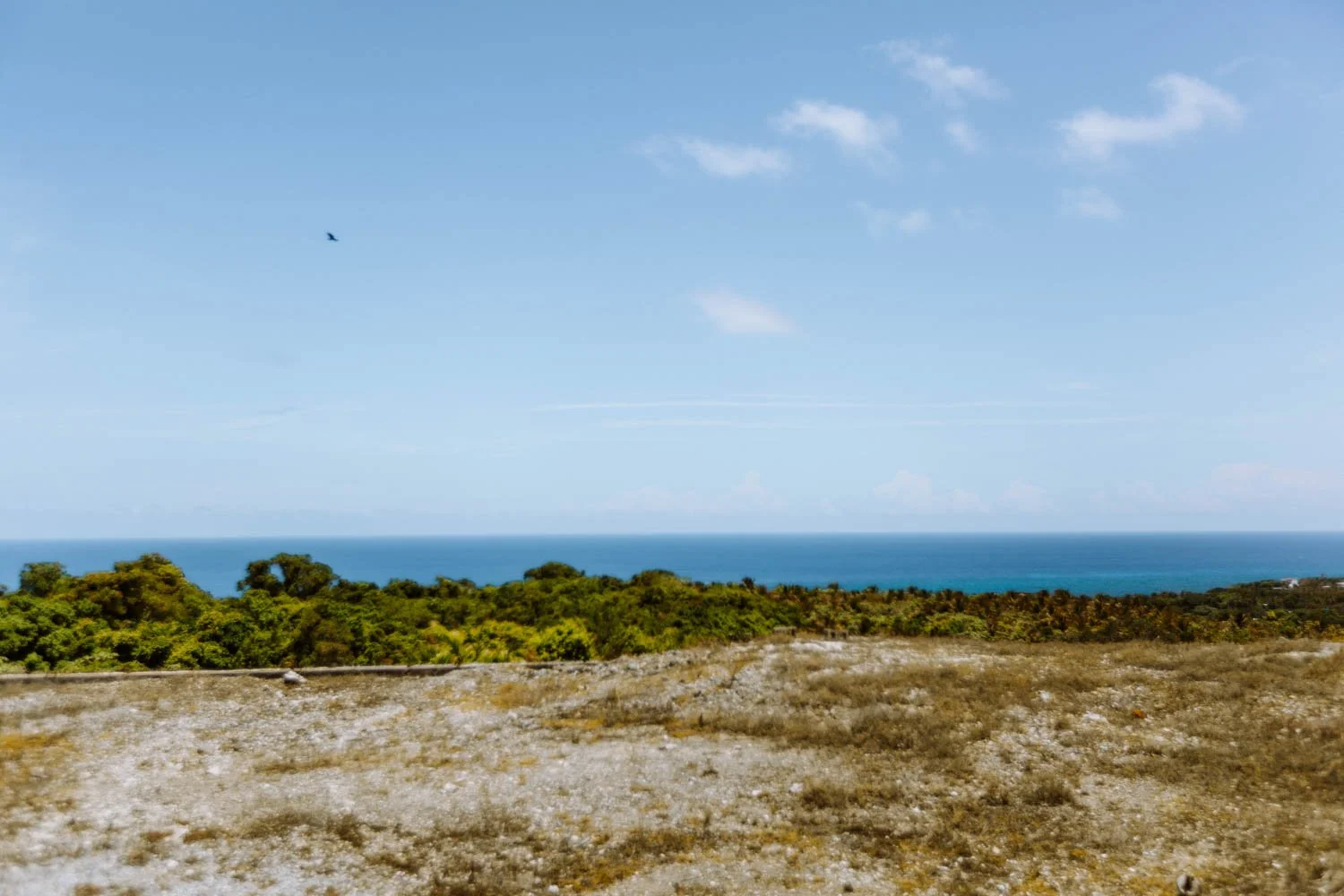 Lot1LosFarallones(4of8).jpg