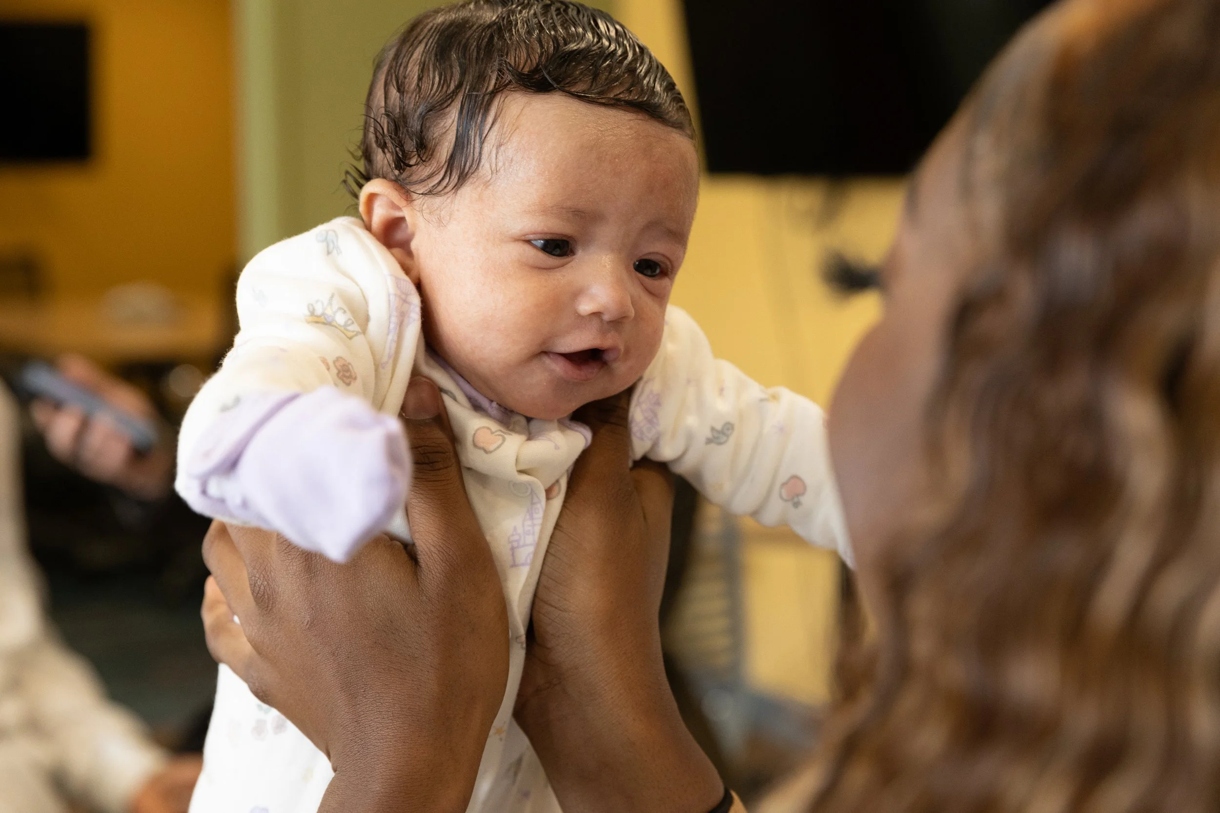 Ancestral Seeds Birthing Assistant (Doula) Certification Program BA NIA