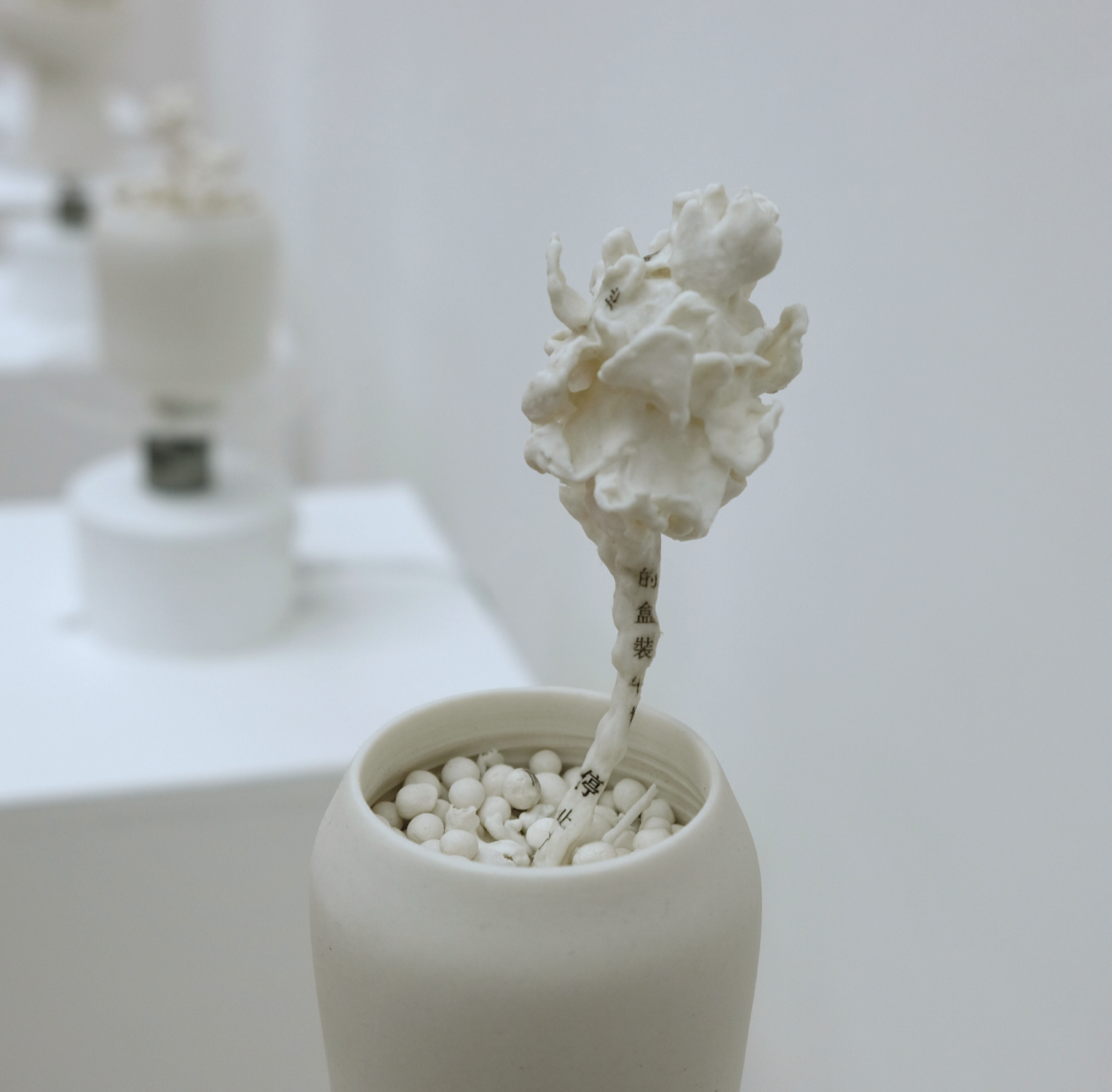 Screenshot 2021-08-30 at 14.03.58.png