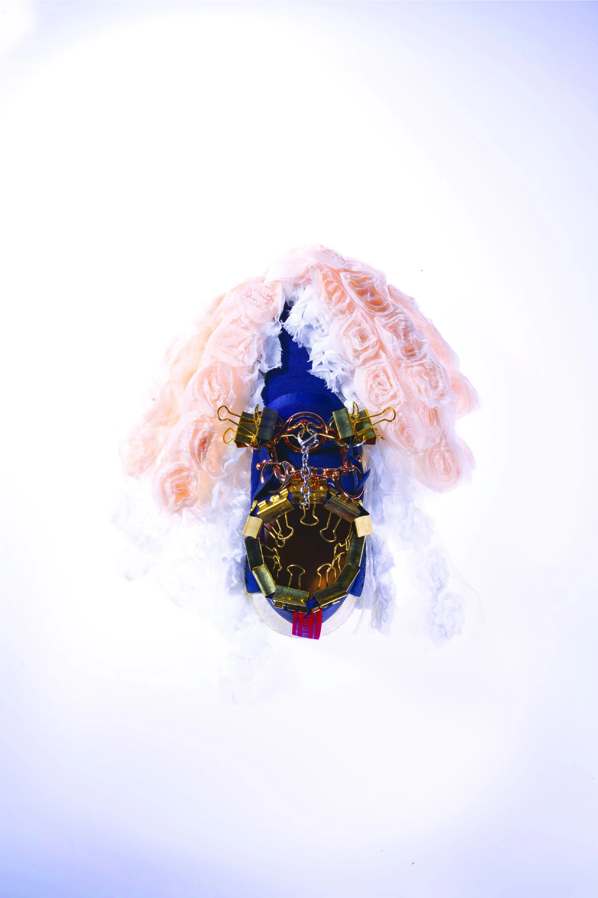 RidiculouSneakers_Mrs Binder Clipsneaker.jpg