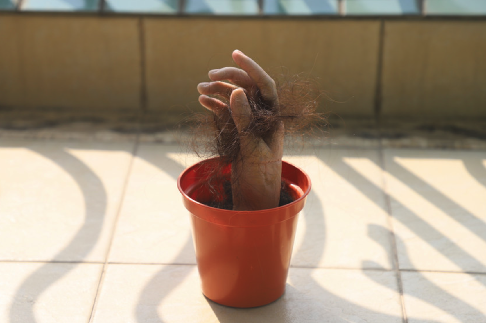 Planting a “Fault", 2020