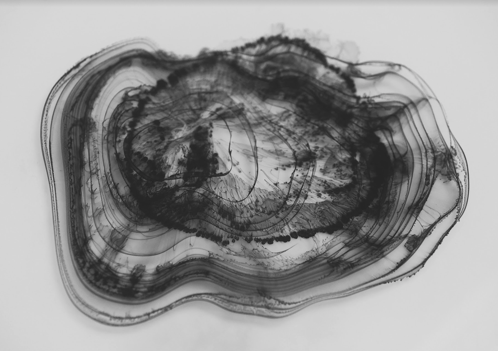 WASTE YOUR TIME PROJECT, 2020