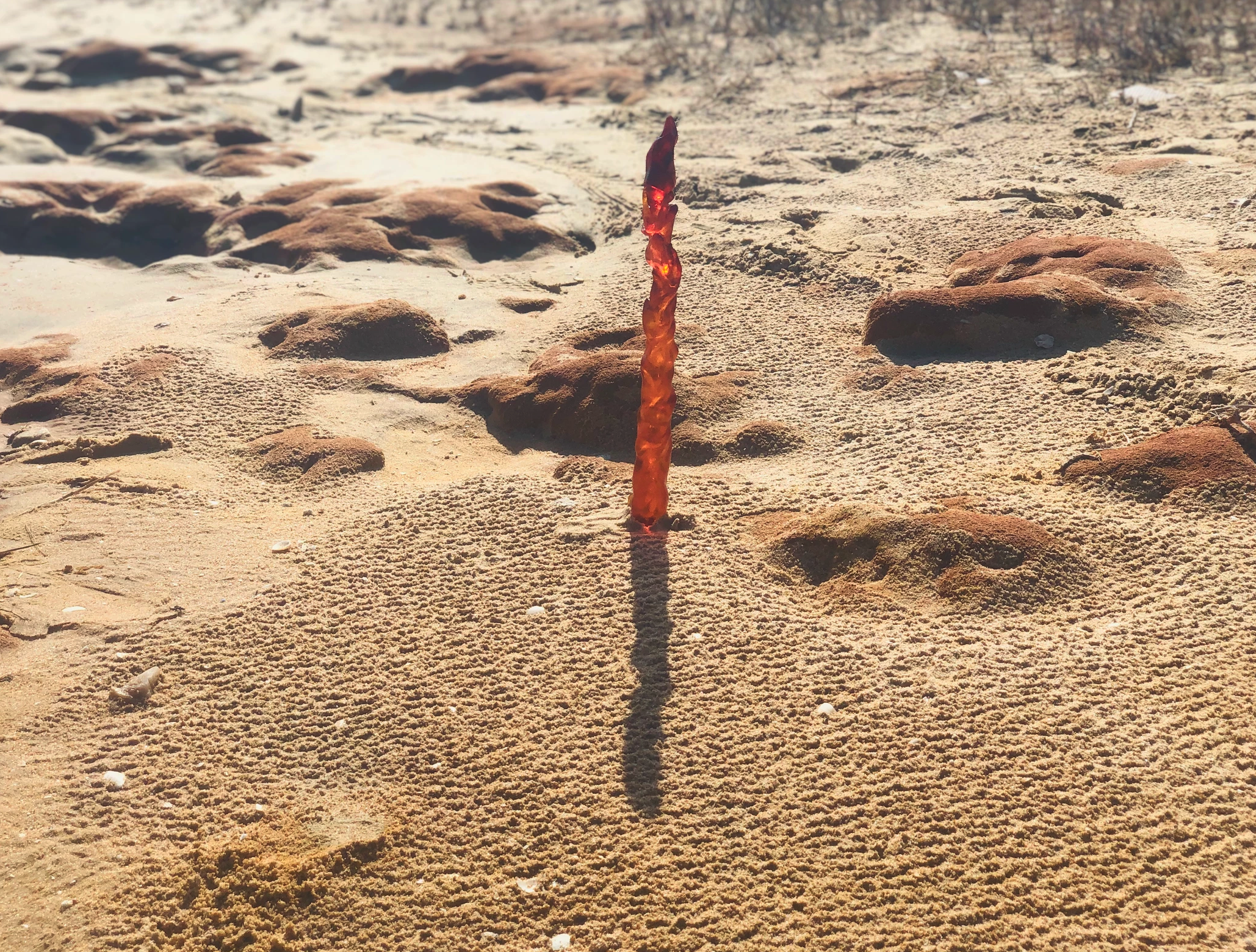 Screenshot 2021-08-11 at 19.55.53.png