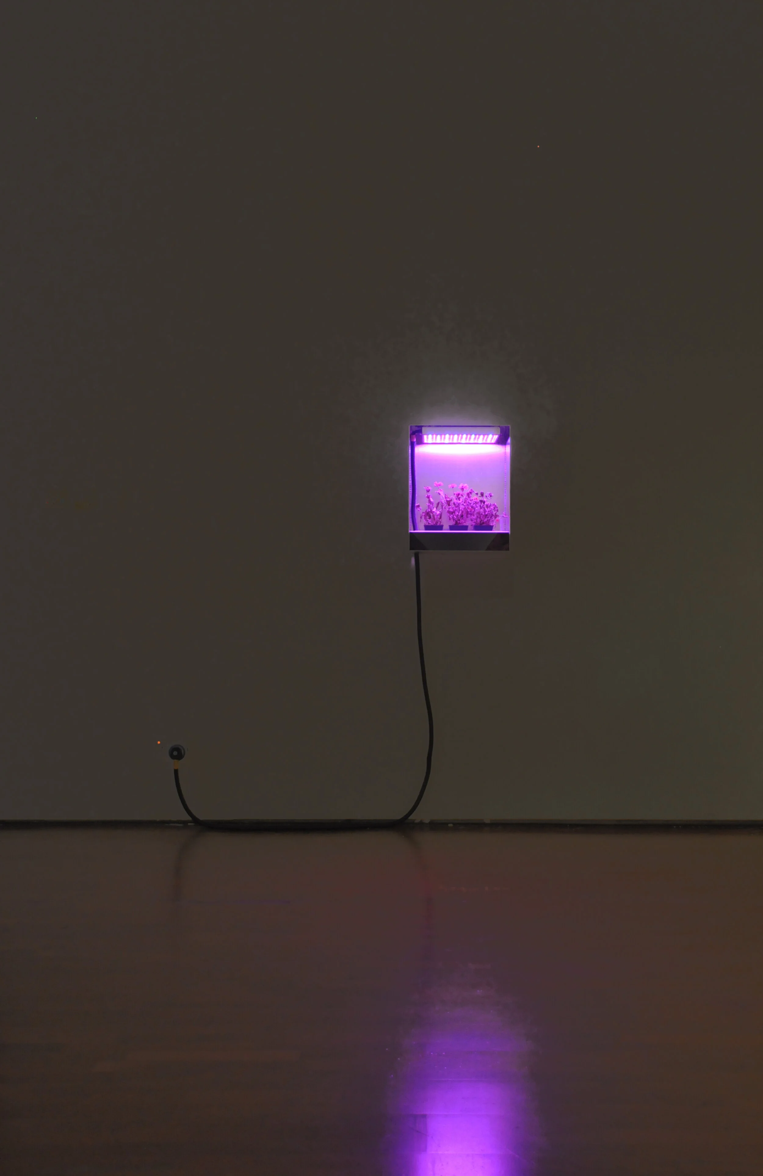  "Space Farming" series