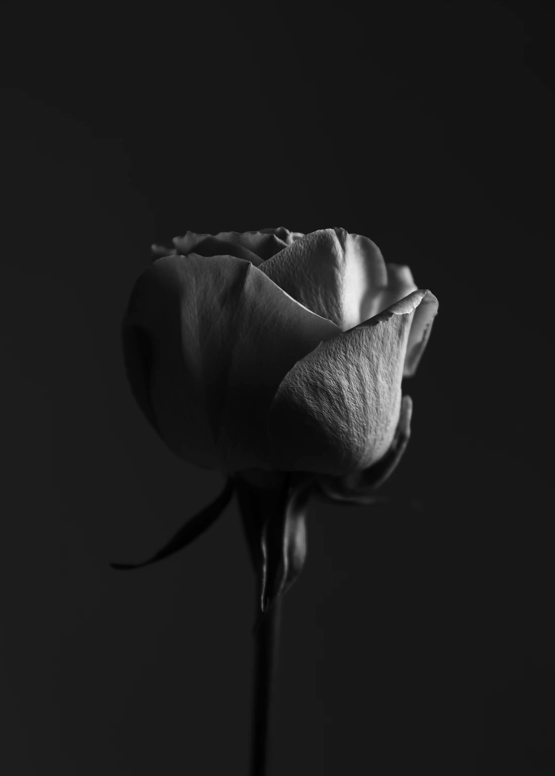 Screenshot 2021-04-14 at 11.58.23.png