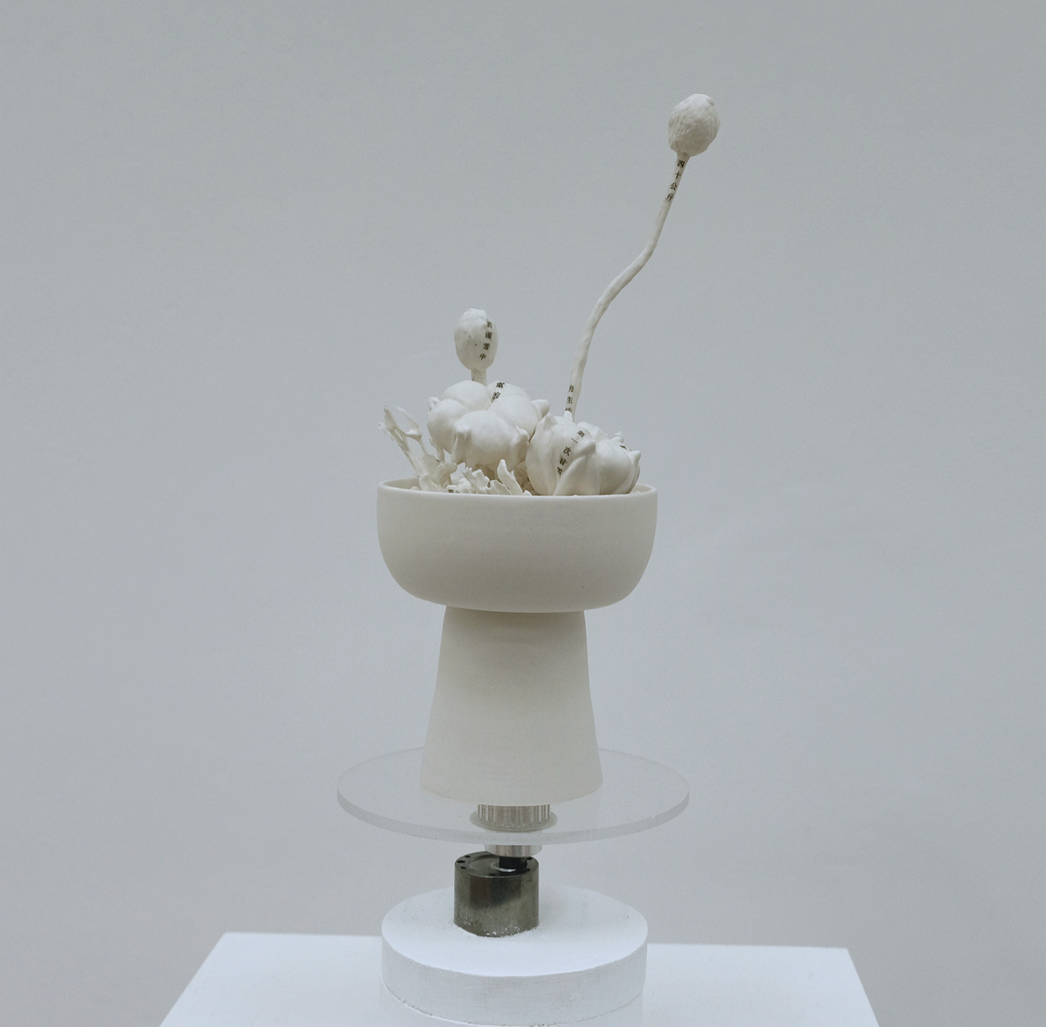 Screenshot 2021-08-30 at 14.03.50.png