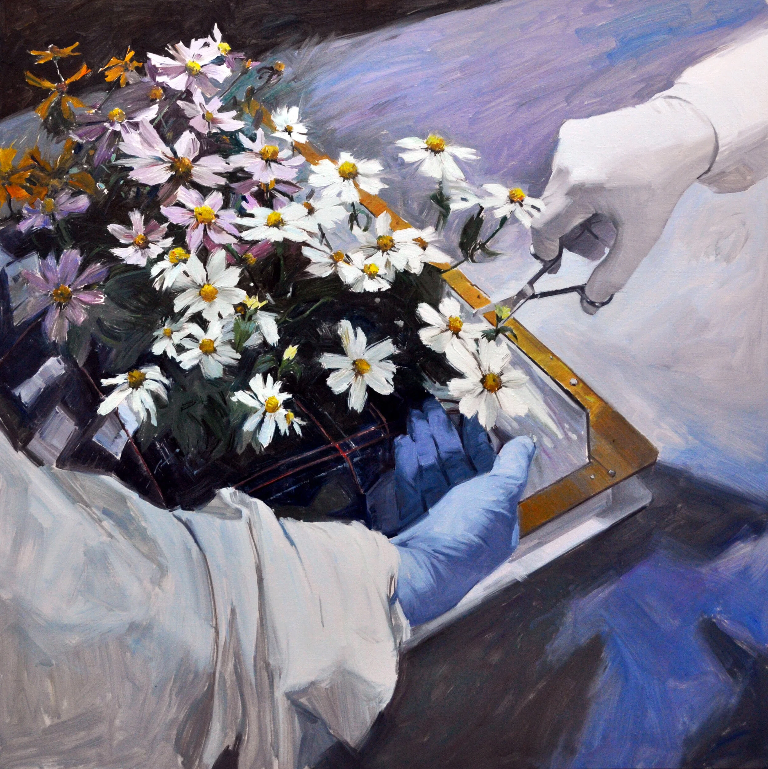  "Space Farming" series