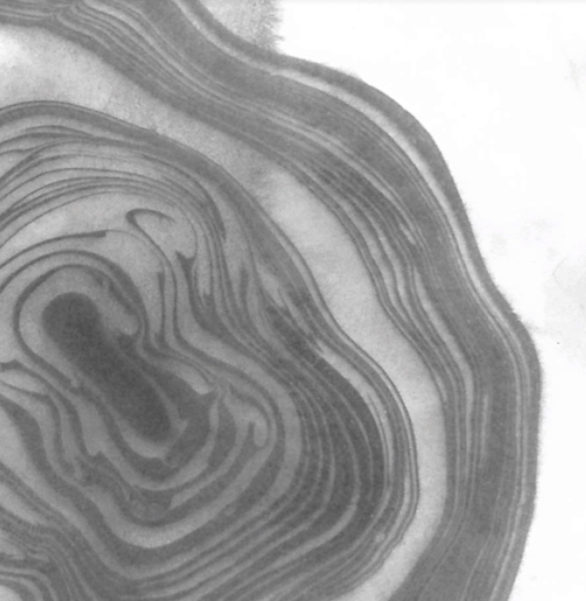 Screenshot 2021-07-02 at 18.02.31.png