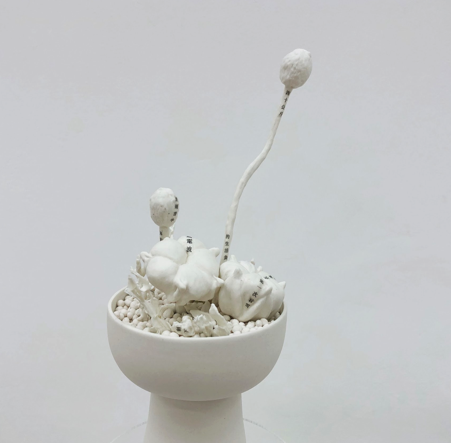 Screenshot 2021-08-30 at 14.03.37.png