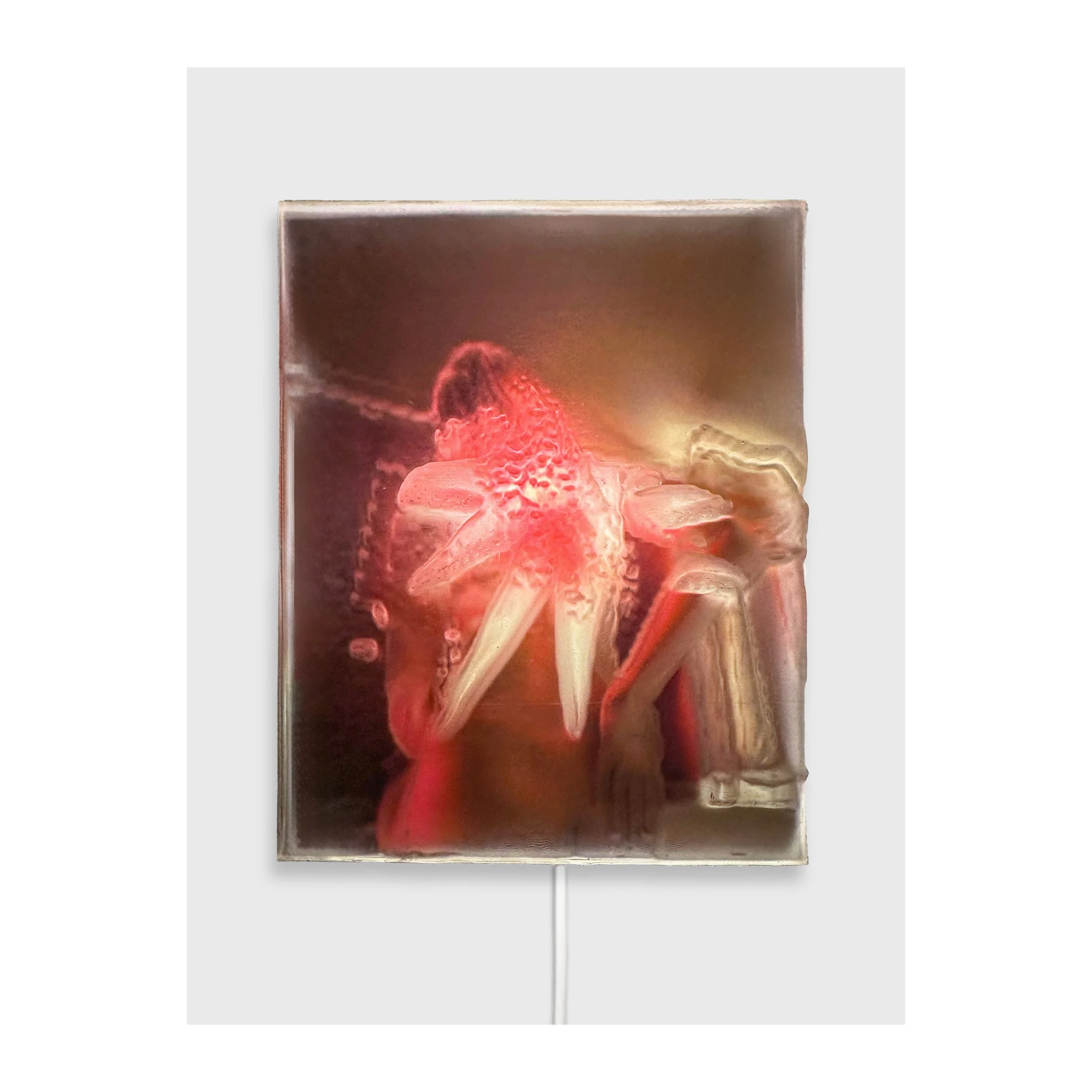 Haptic Star, 2025
 translucent 3D-printed resin, lightbox fabric, LED
 17x12x2,5cm