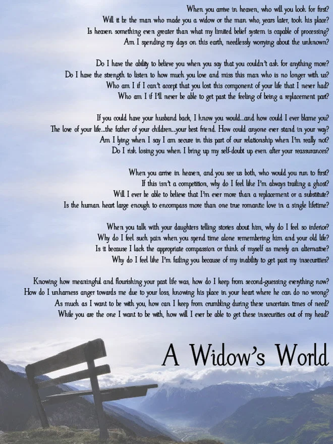 a-widows-world.jpg