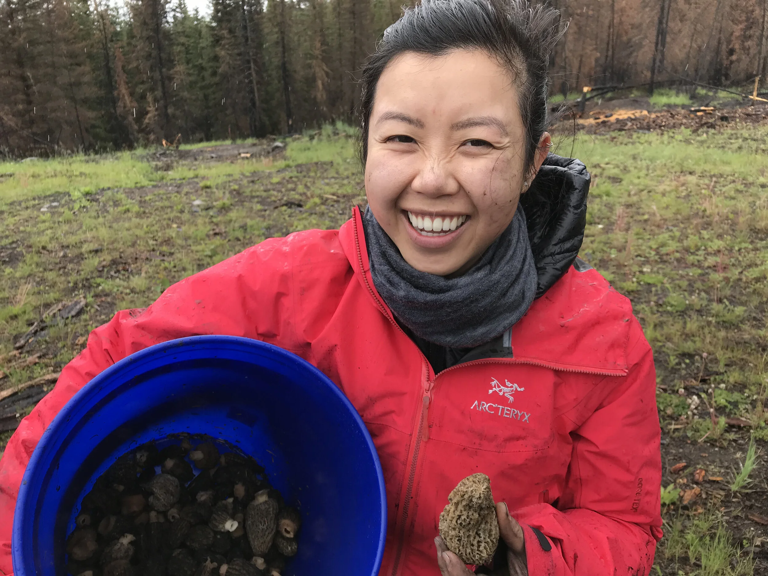 Guide to Foraging Morel Mushrooms in British Columbia — Chasing Food Club