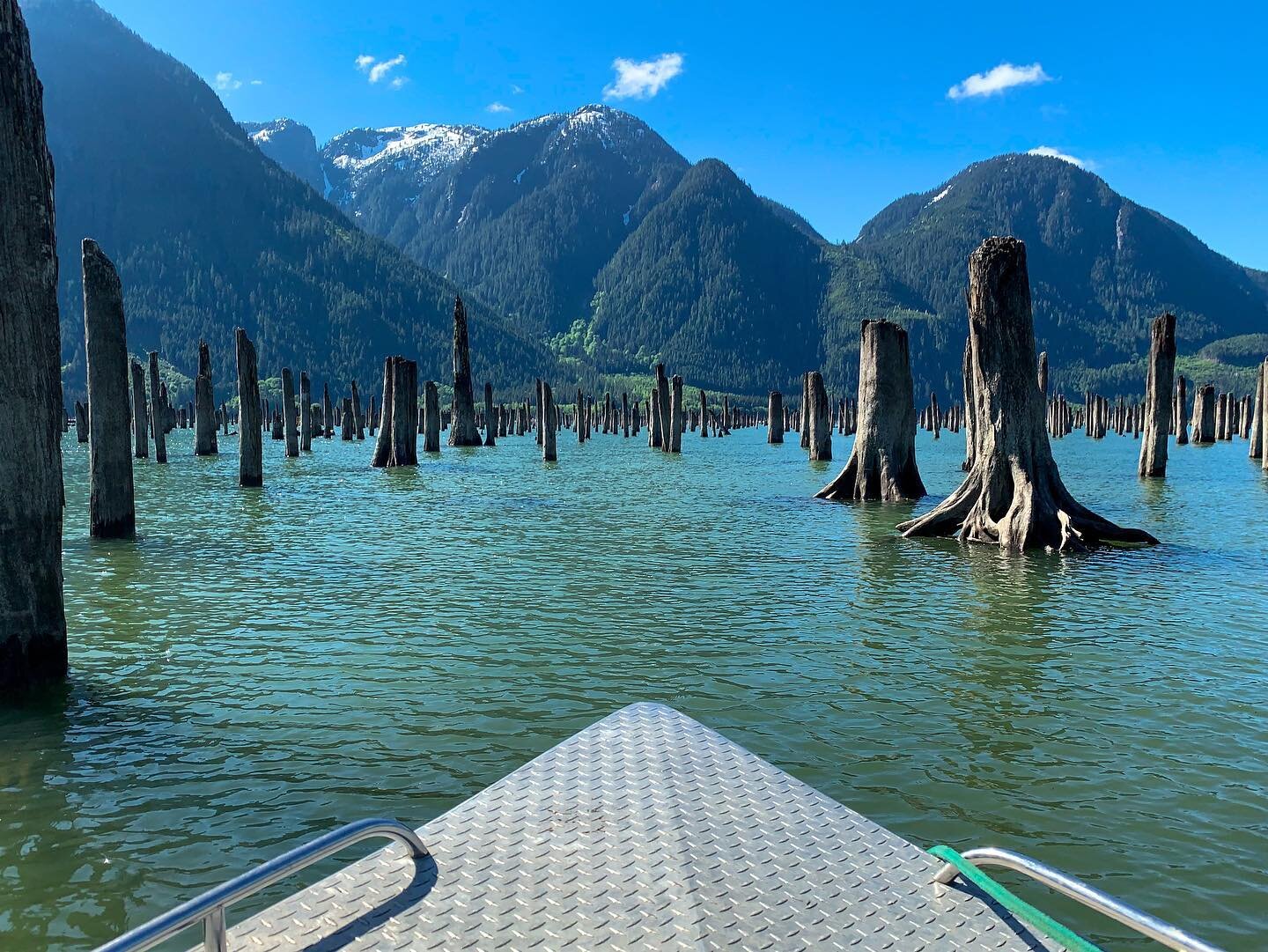 On trips like this; you don&rsquo;t mind coming home empty handed with a minor concussion 😅 

#adventurehunt #backcountrycamping #beautifulbc #huntingbc #vancouver