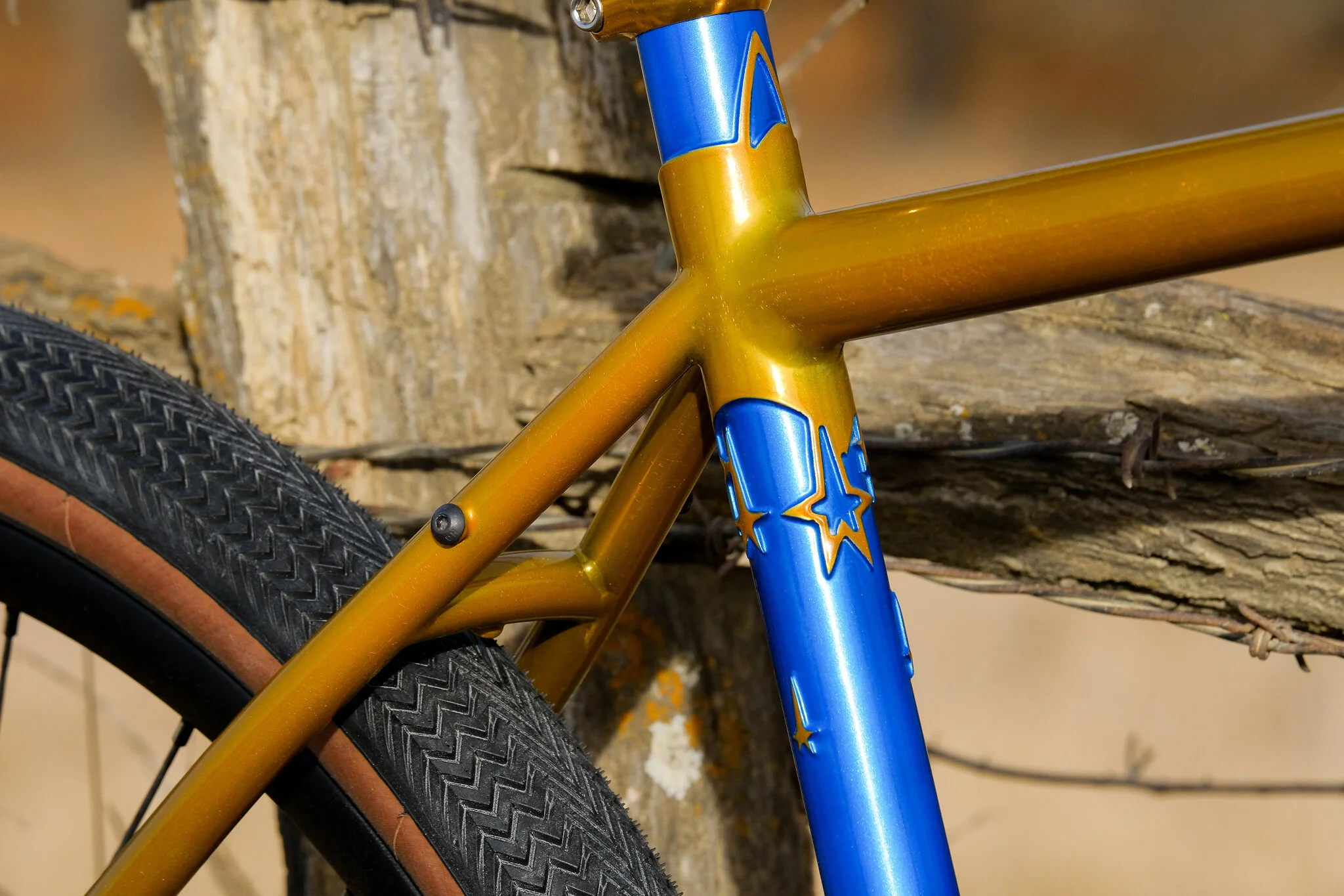 2018-02-18 Beth Morford Pedalino Bike Fuji Jpeg-118.jpg