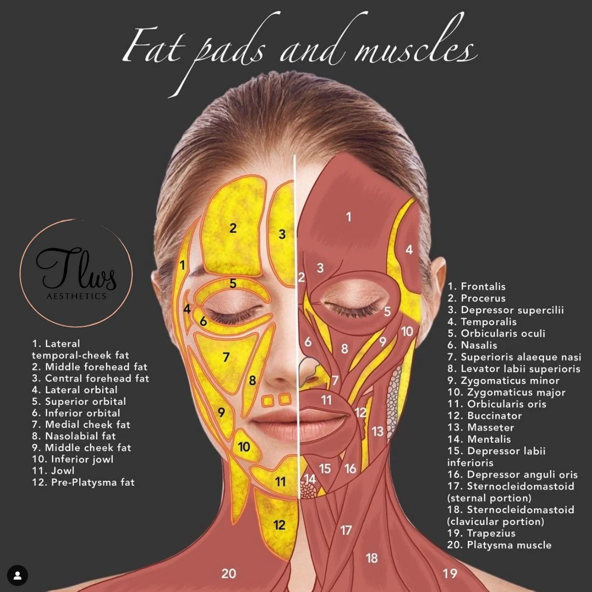 Screenshot 2022-01-19 091350.jpg