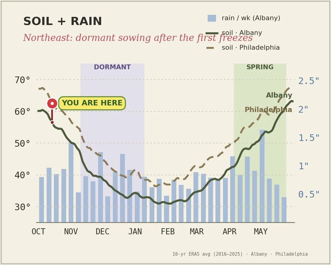 Soil temperature and rain chart for the Northeast