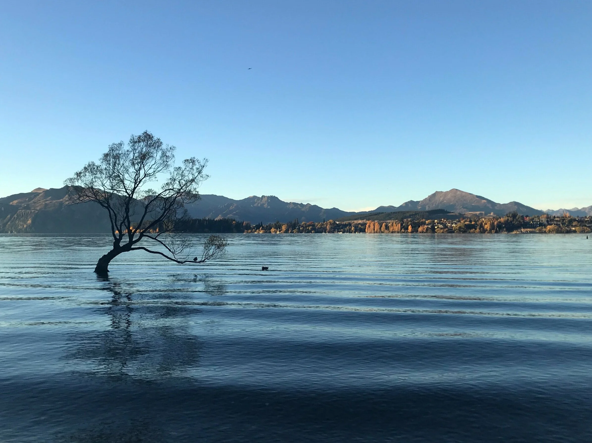 Projects — Southern Lakes Water Blasting Our Services, soft wash houses, commercial buildings